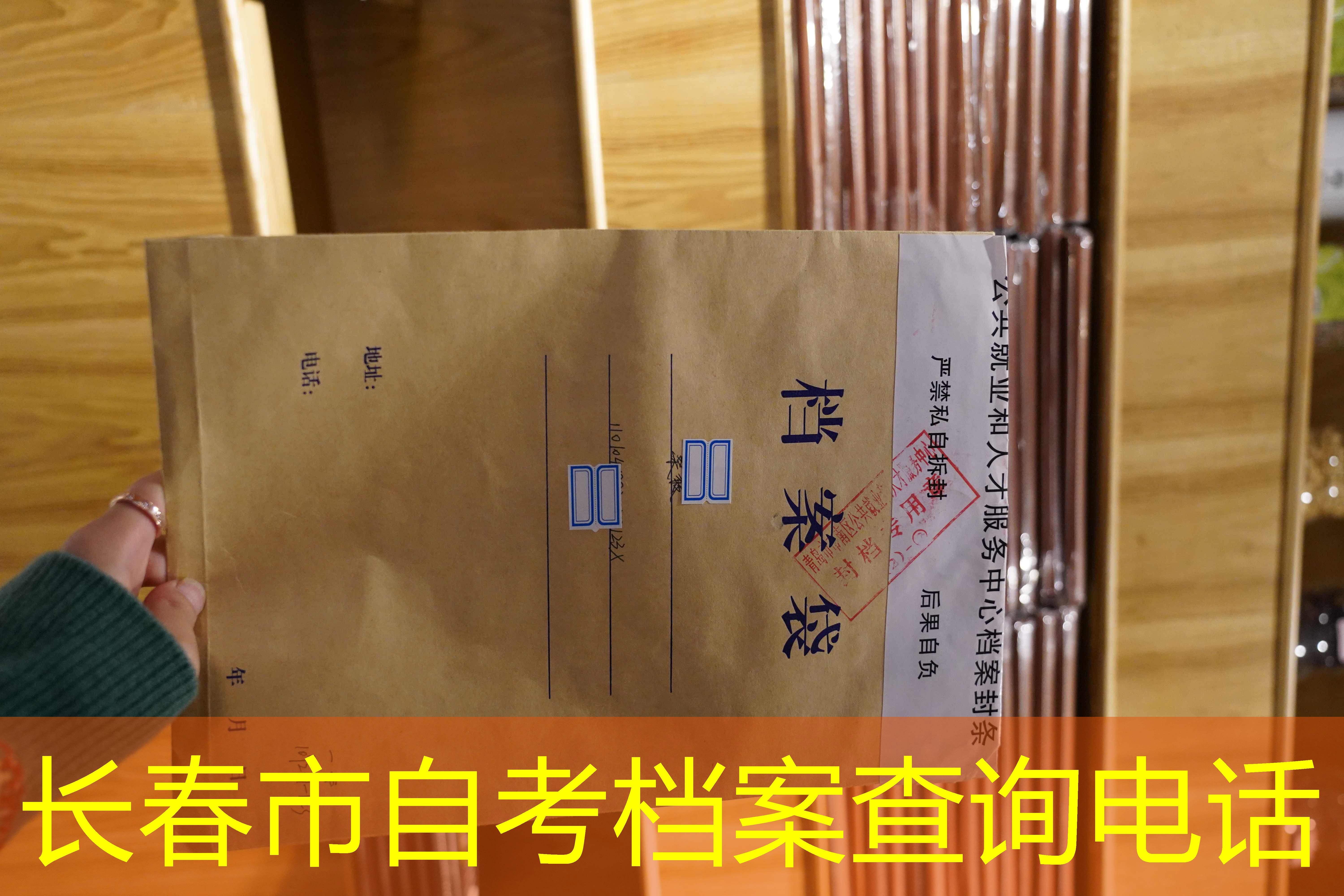 档案查询
