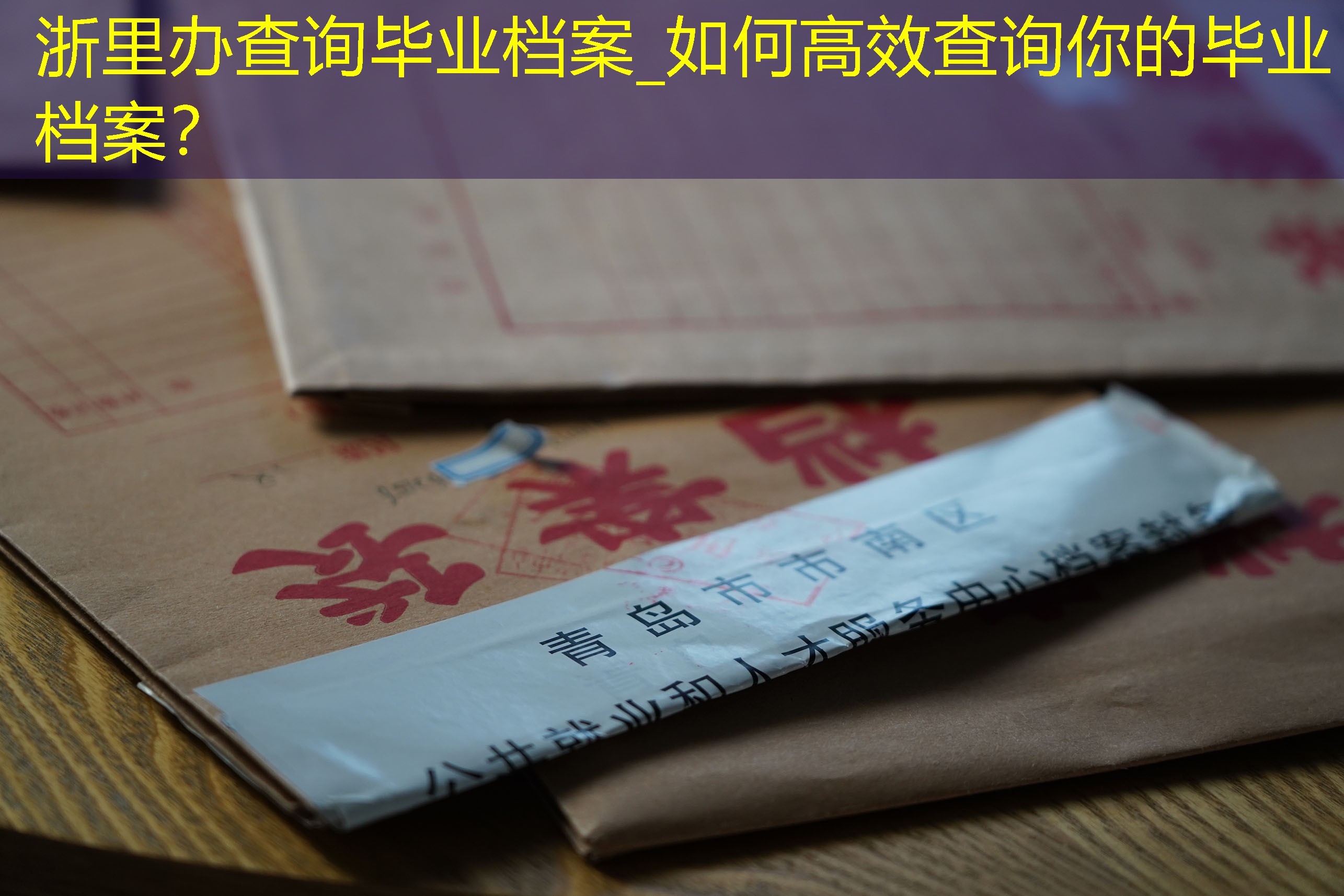 档案查询