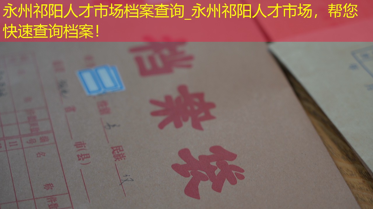 档案查询