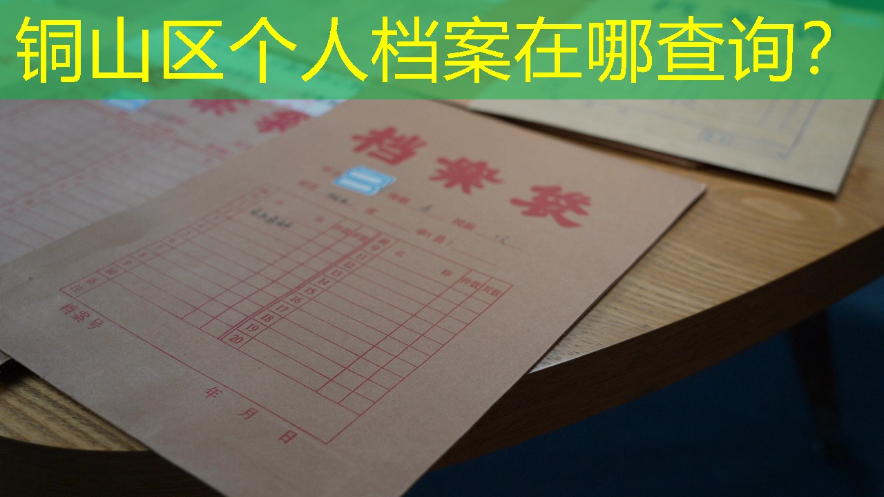 档案查询