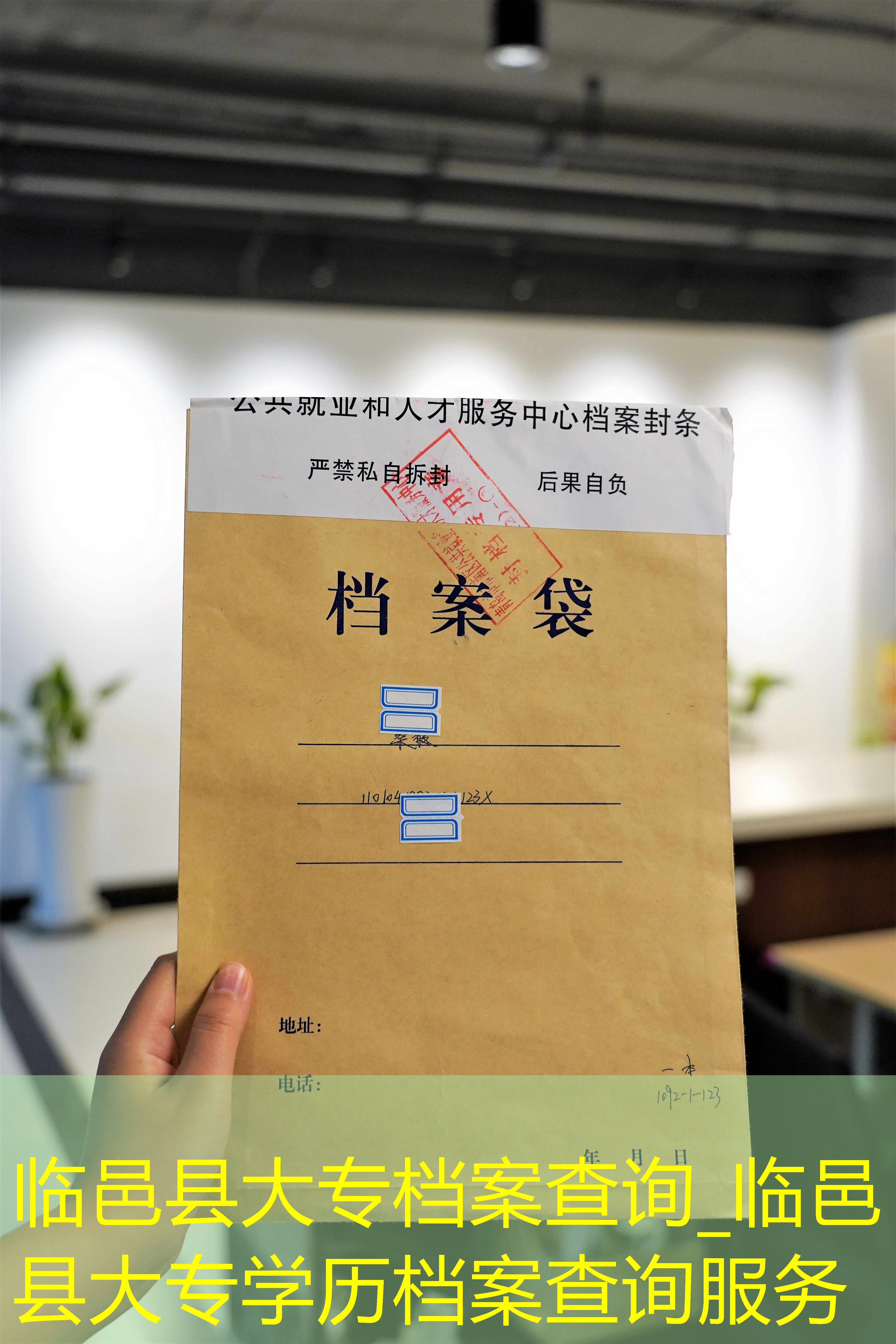 档案查询