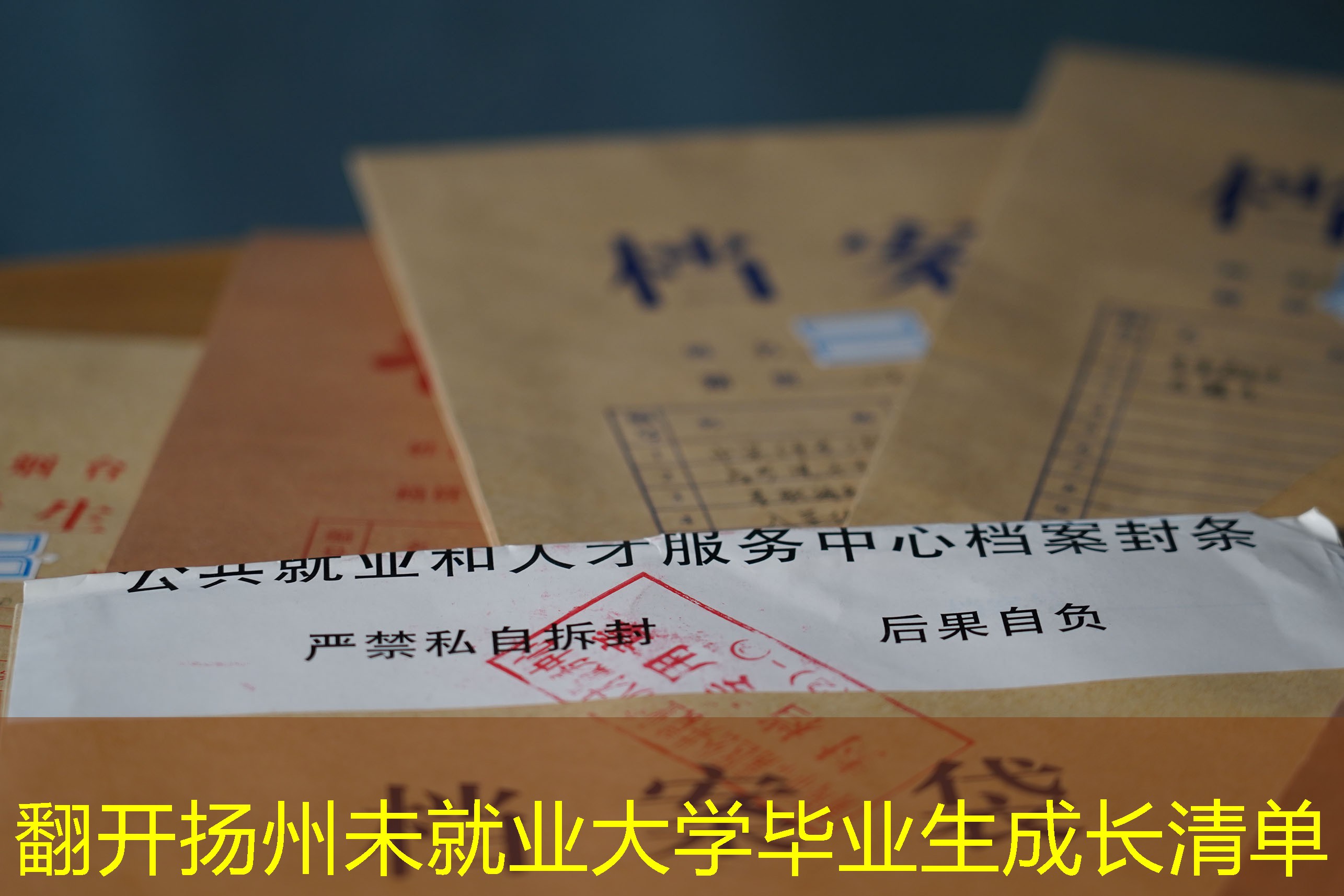档案查询