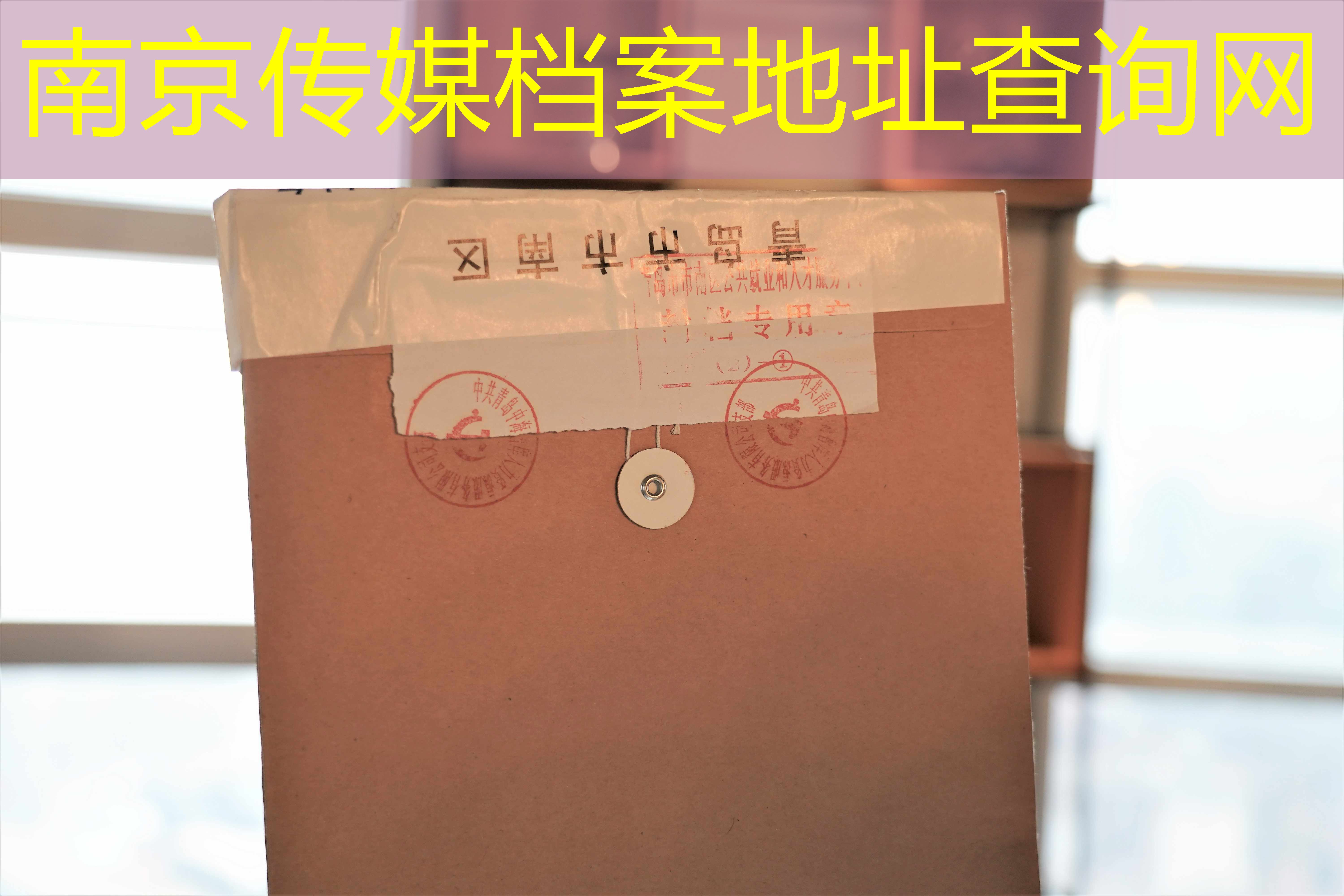 档案查询
