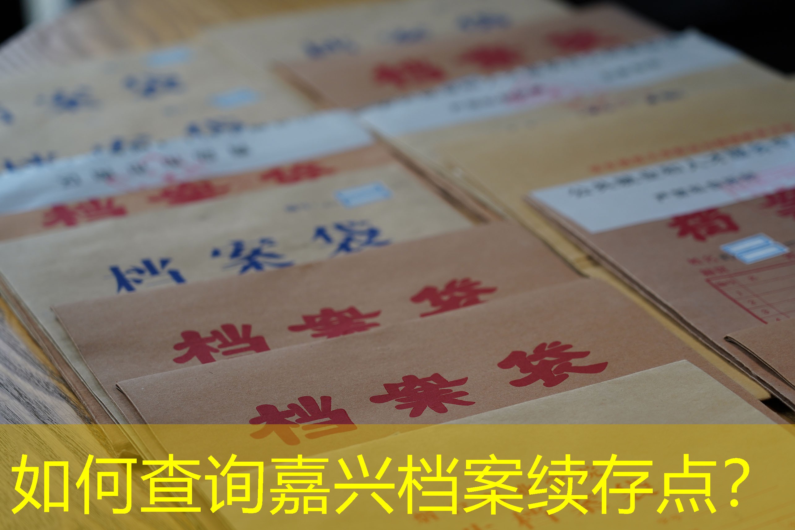 档案查询
