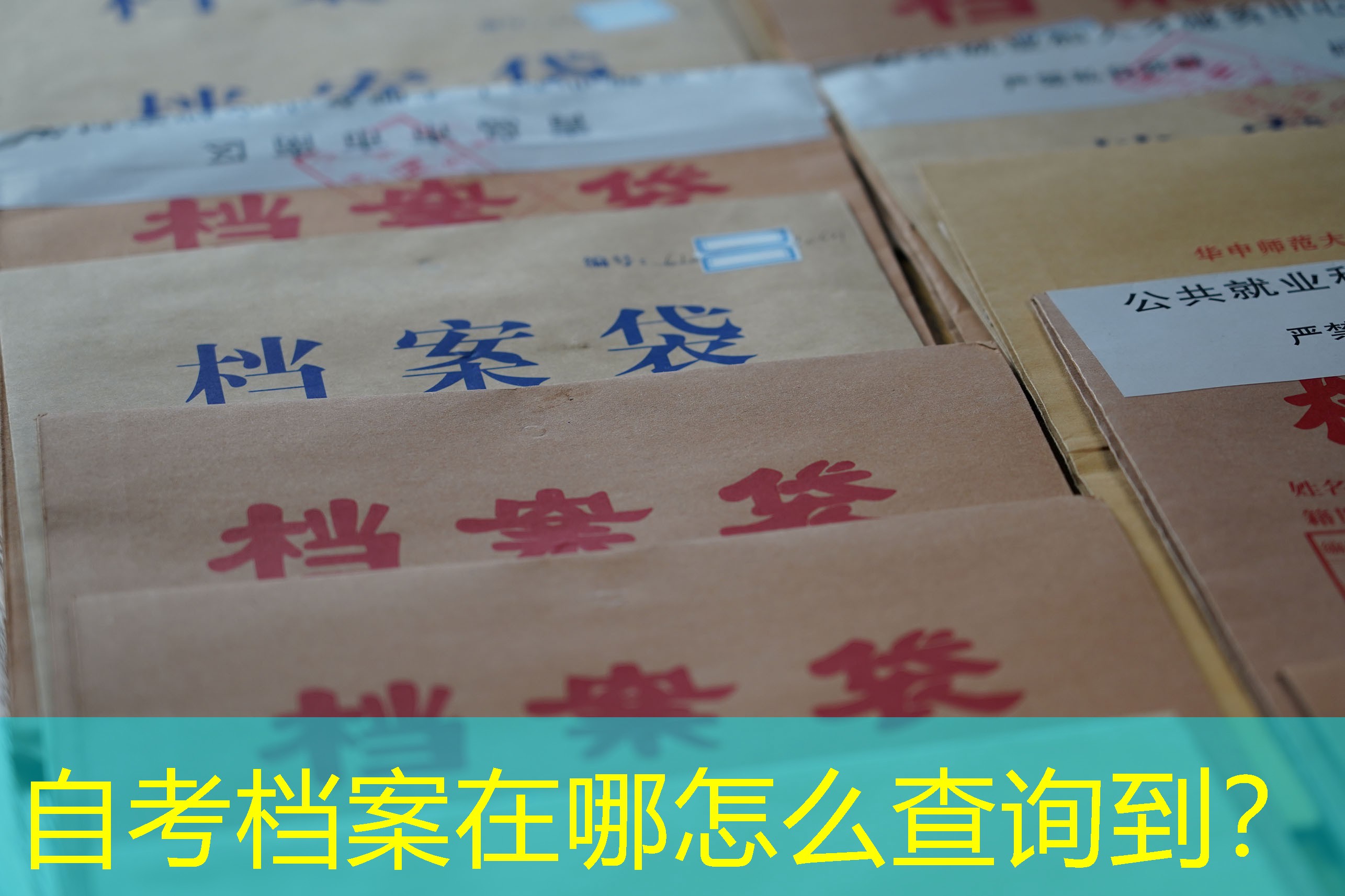 档案查询