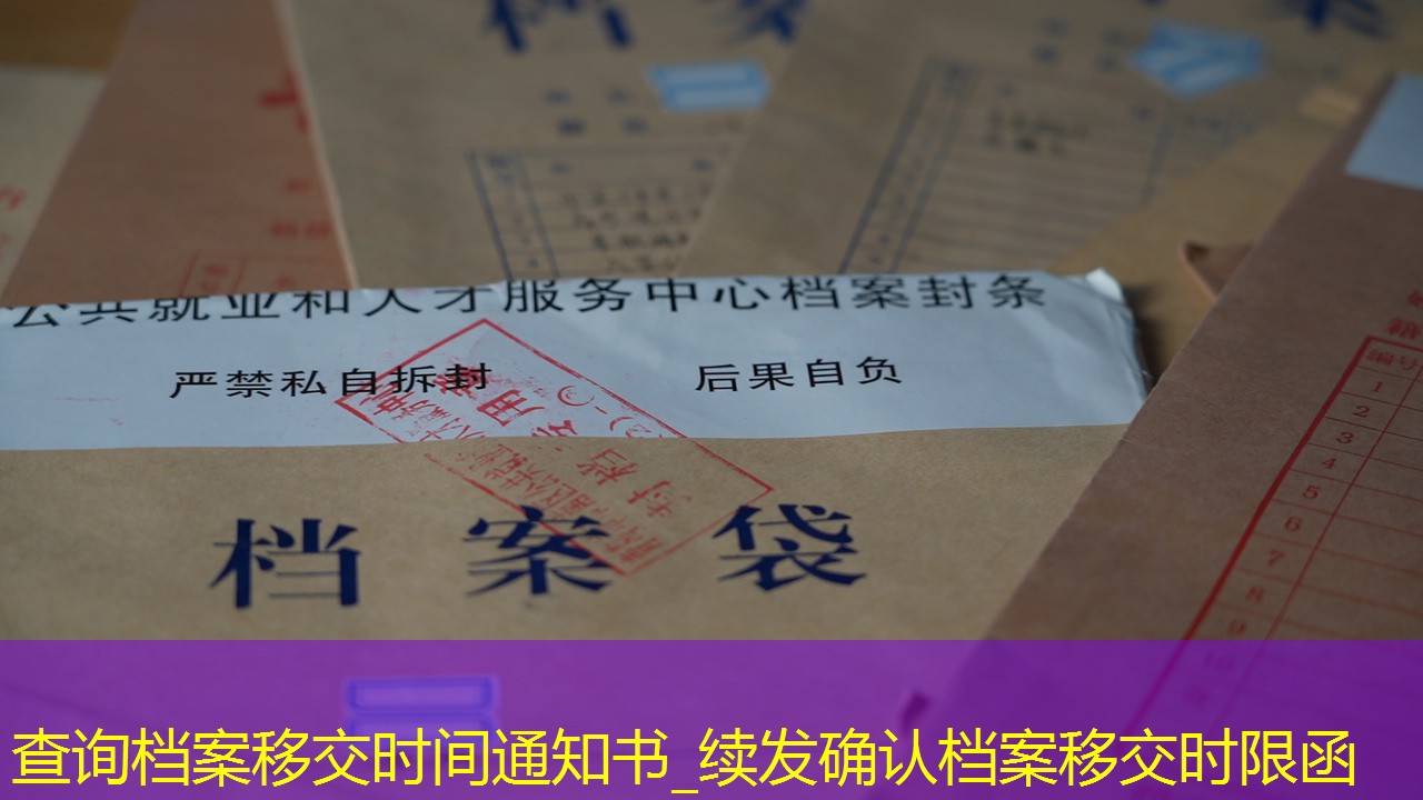 档案查询