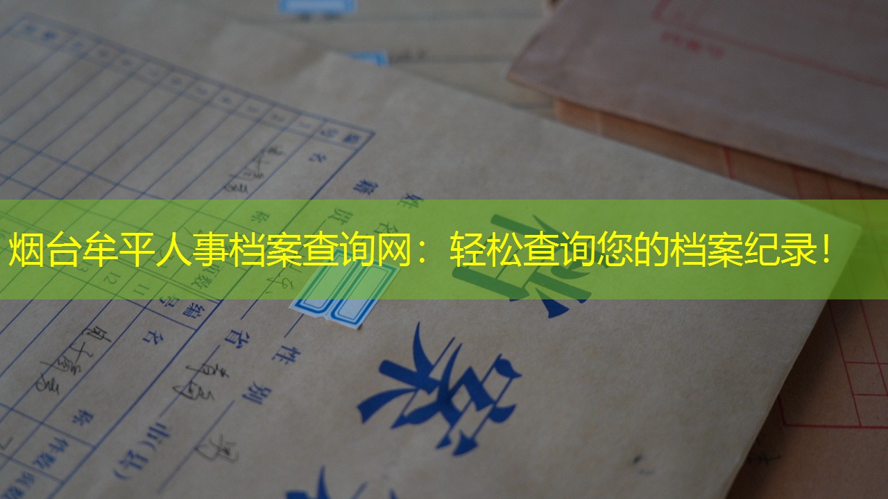 档案查询