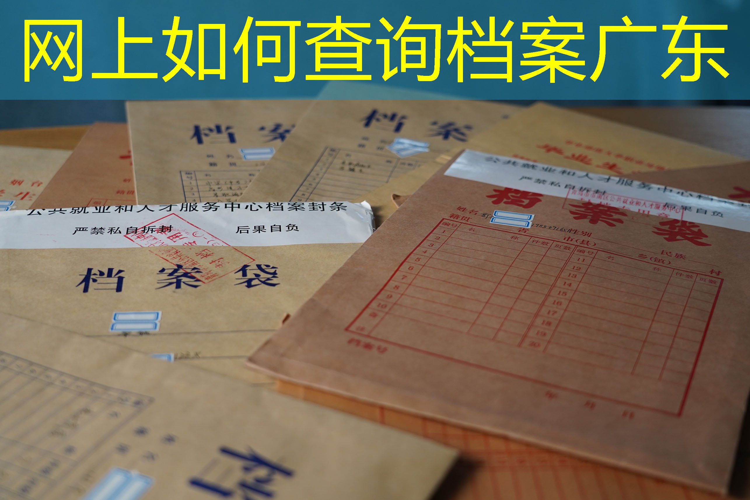 档案查询