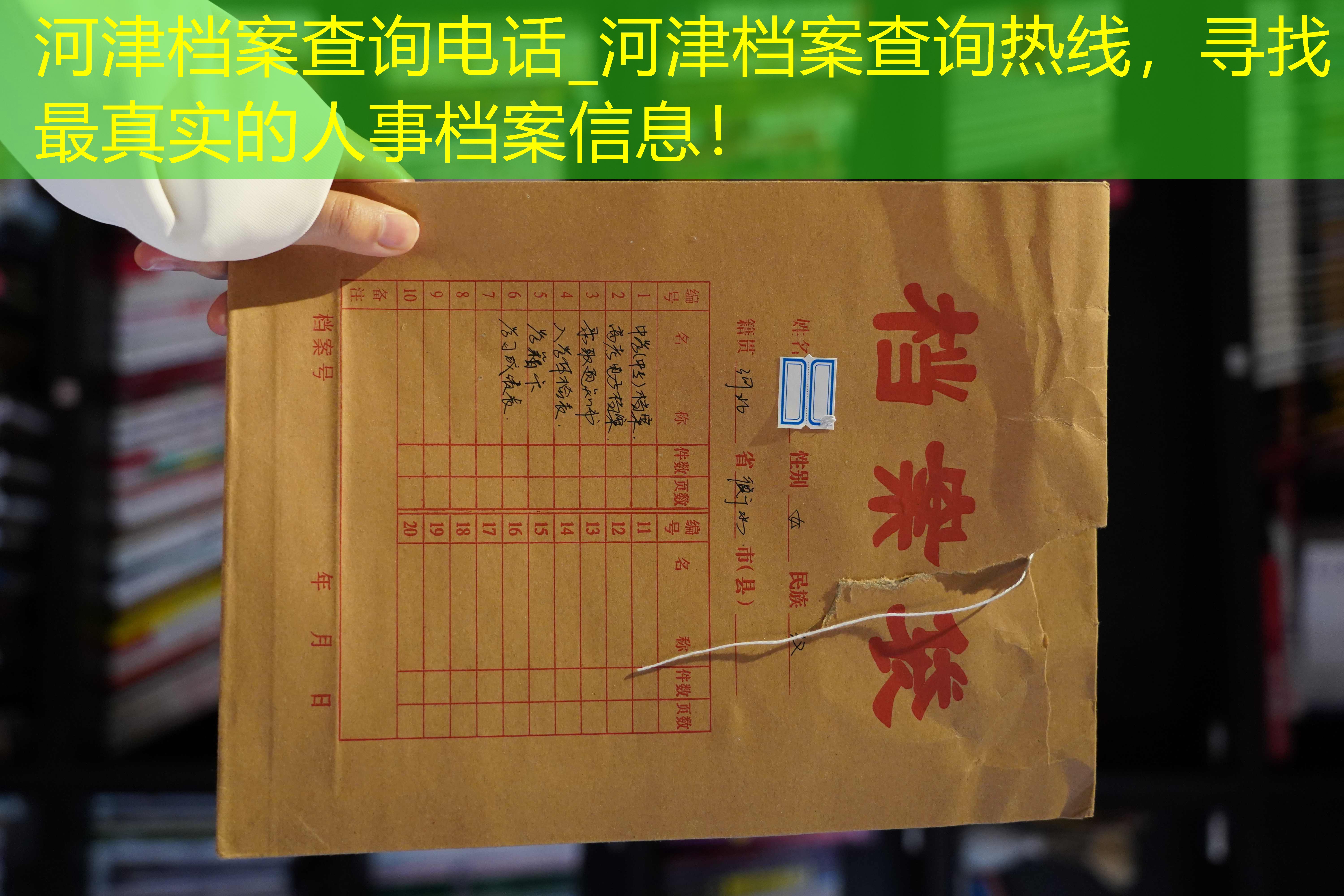 档案查询