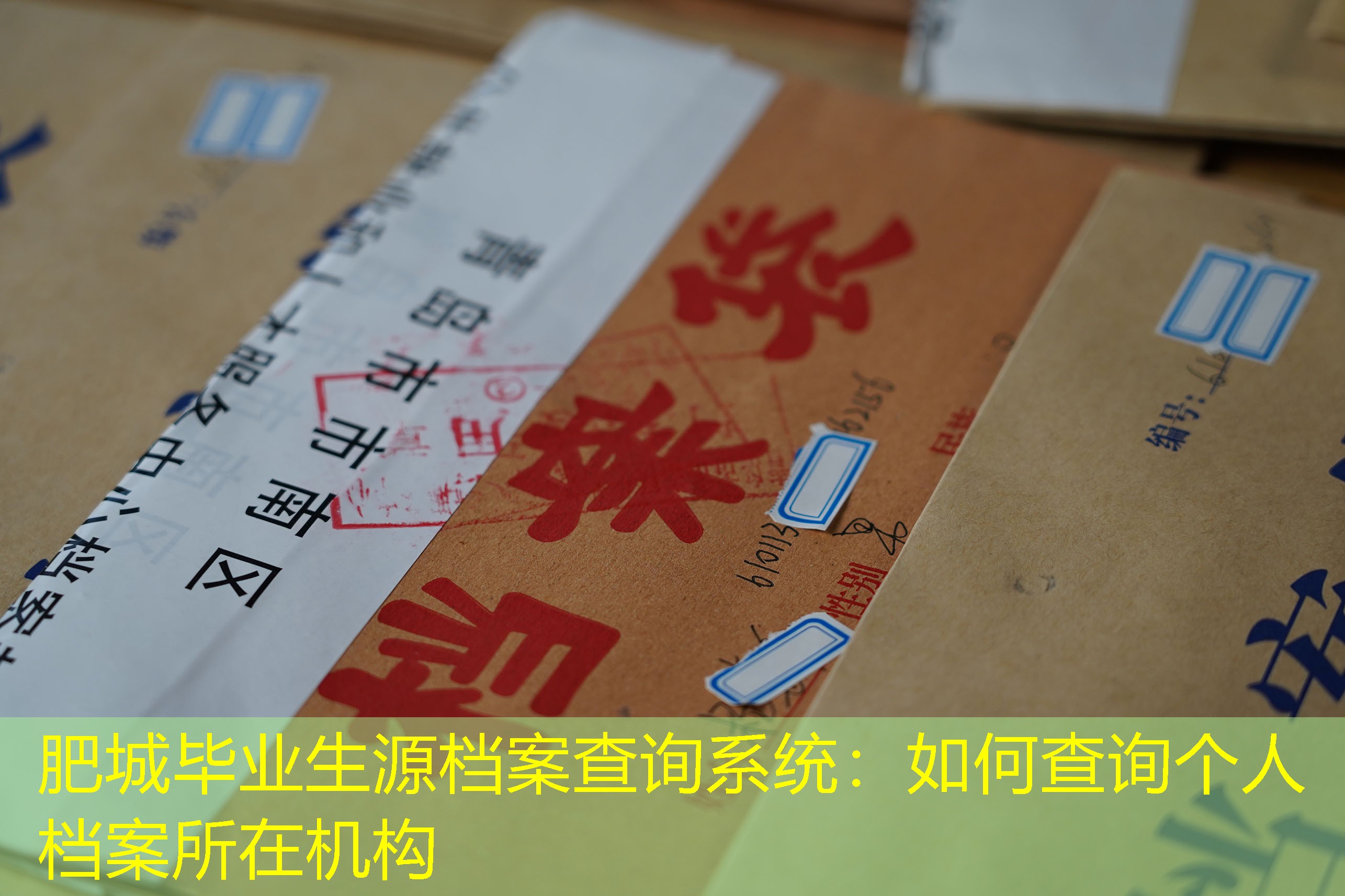 档案查询