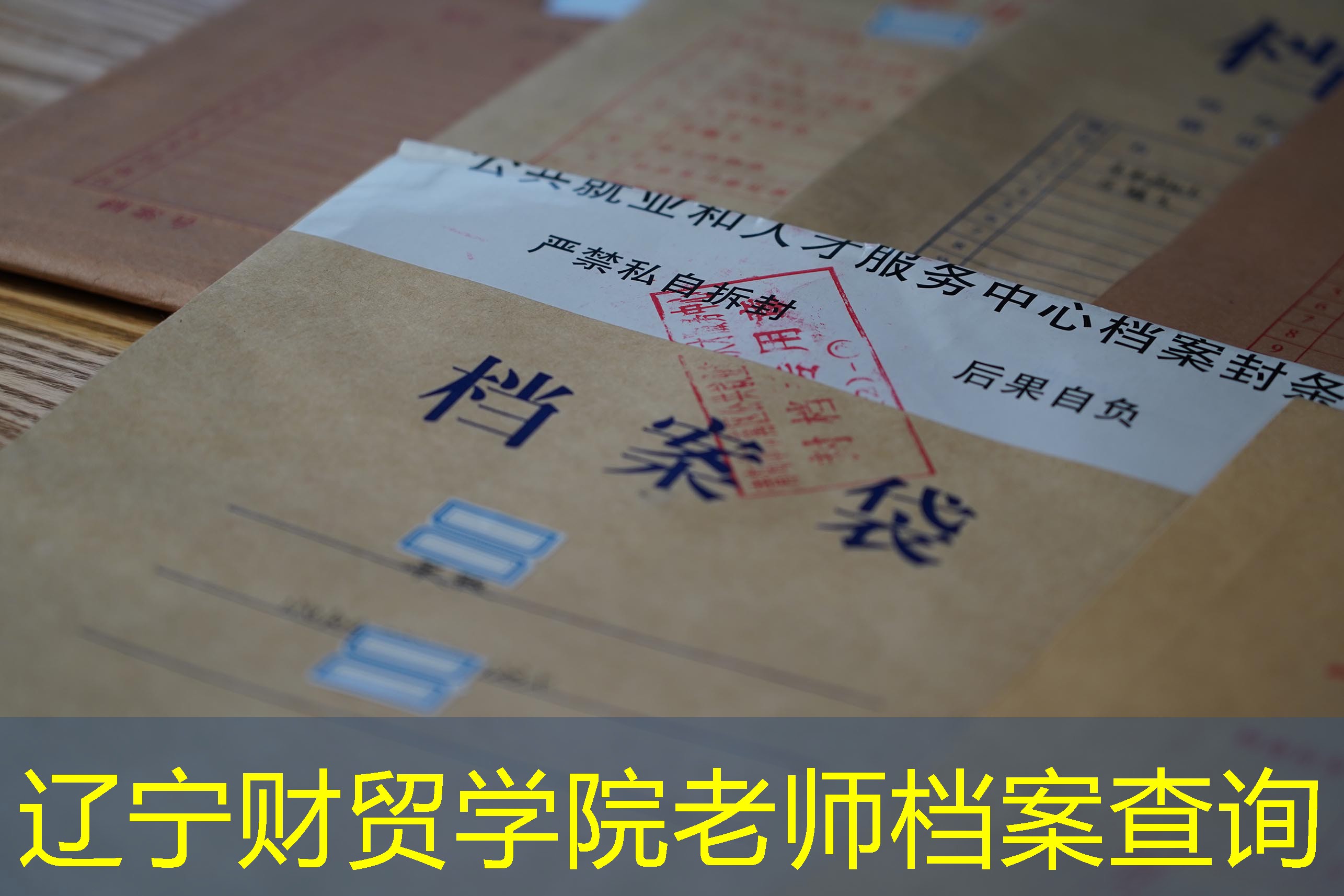 档案查询