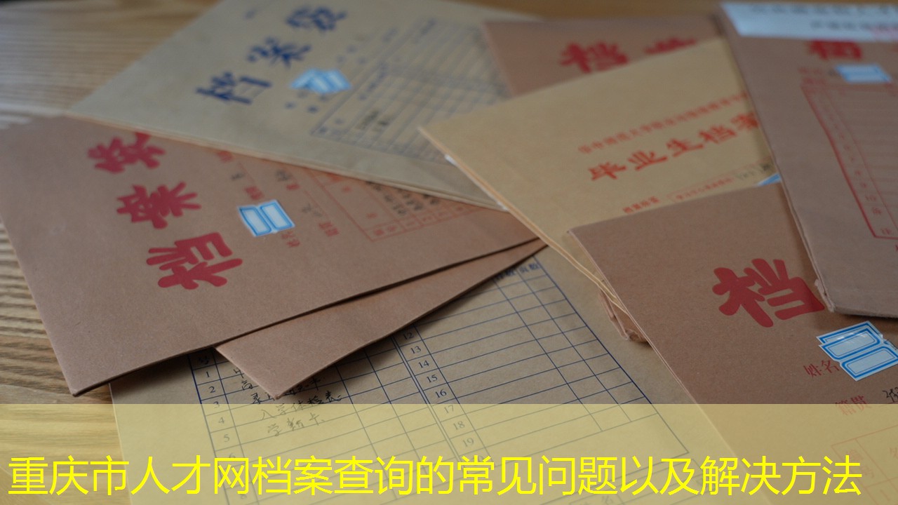 档案查询