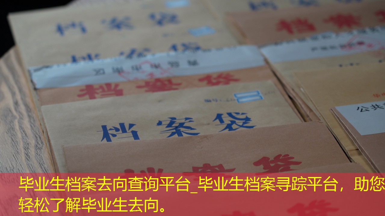 档案查询