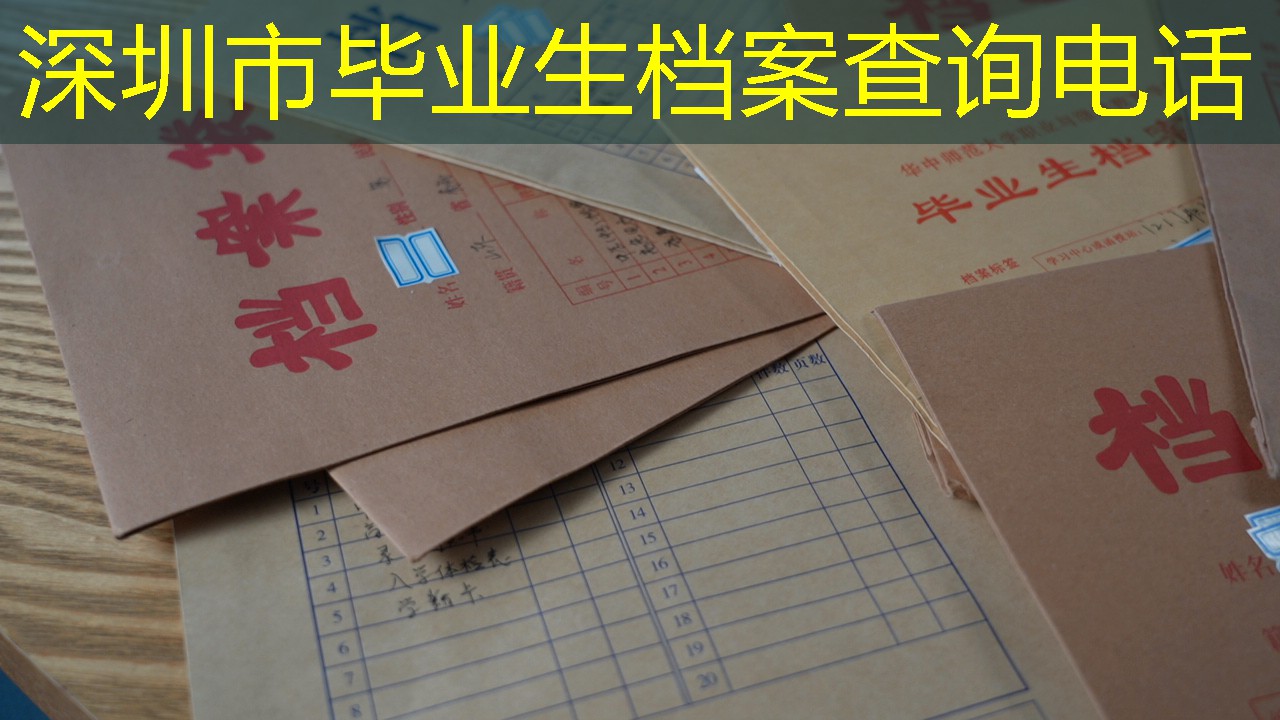 档案查询
