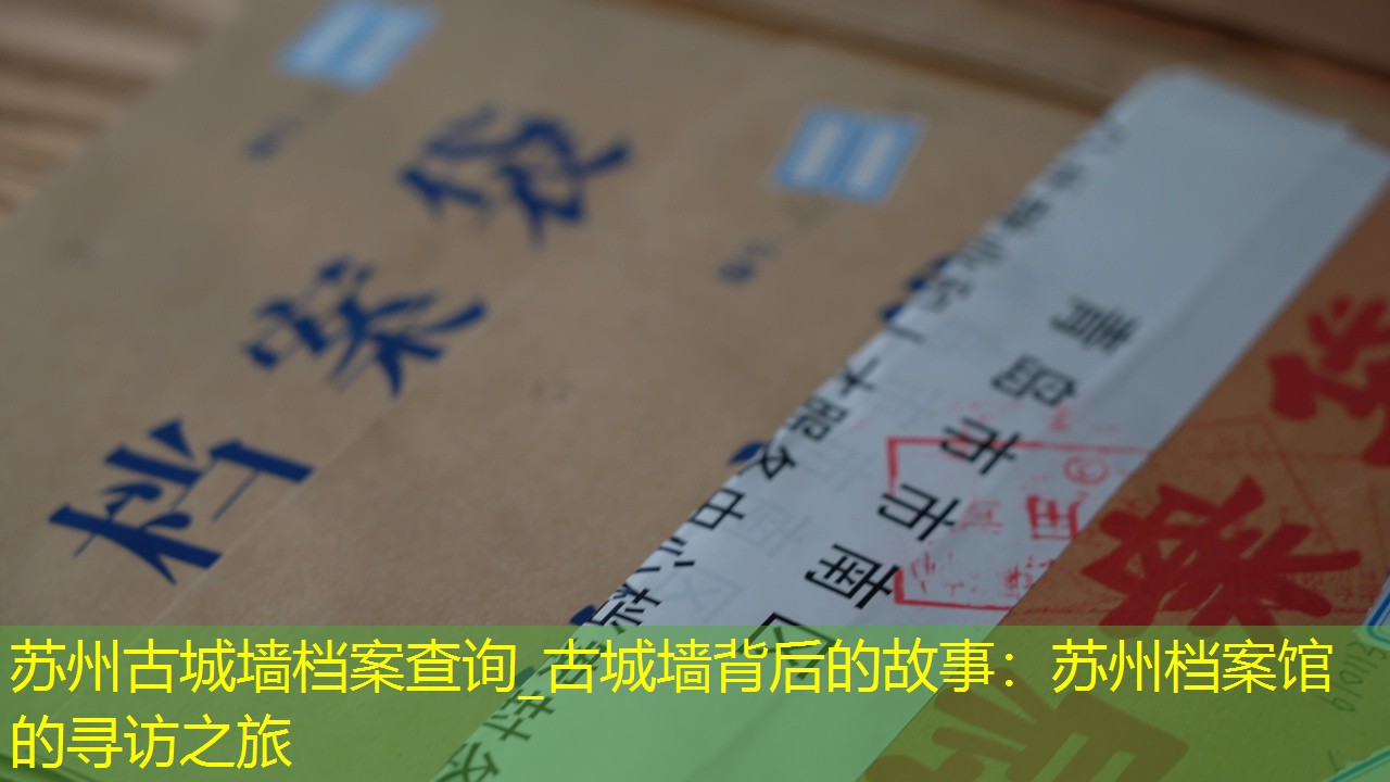 档案查询