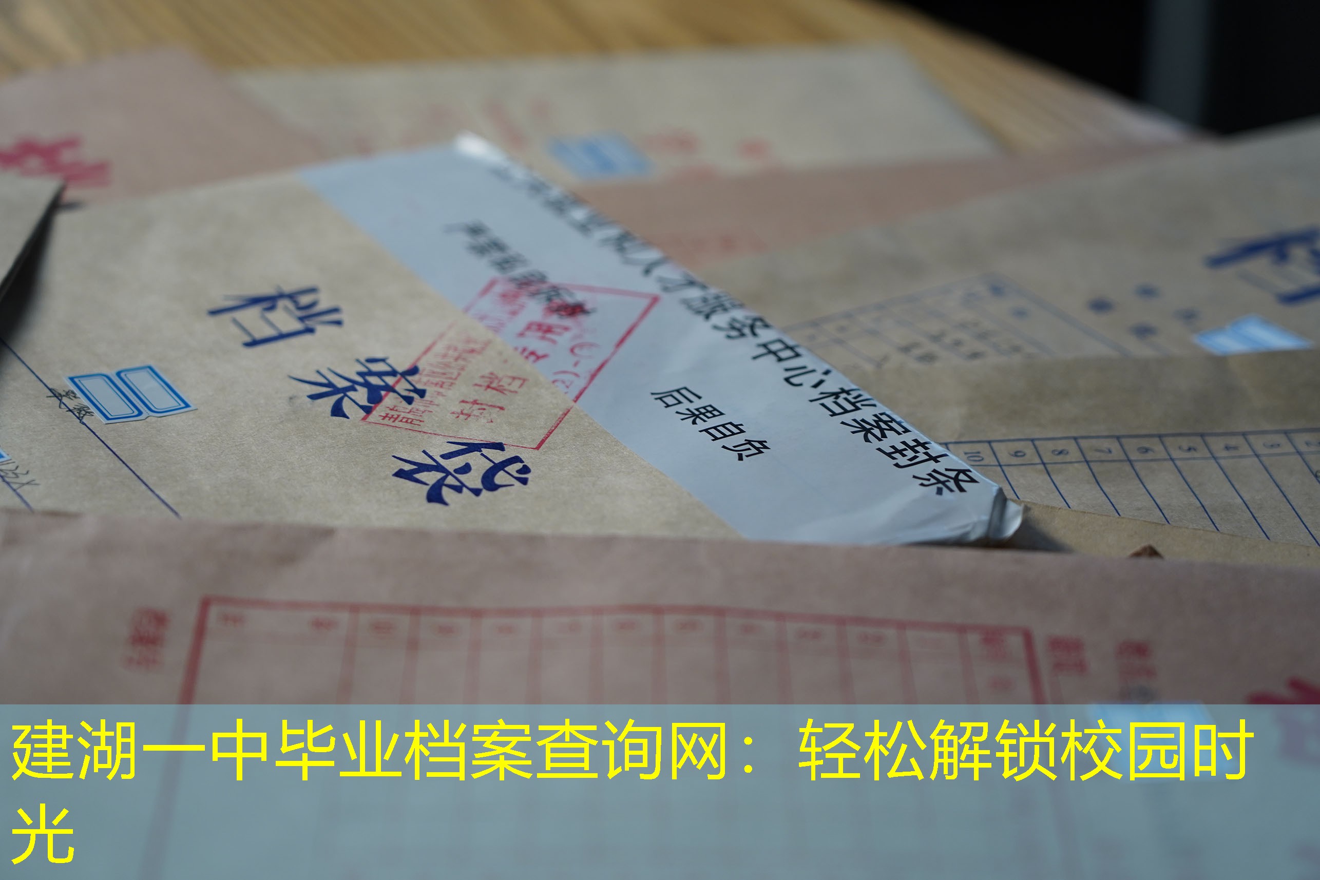 档案查询