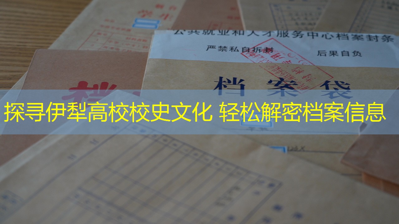 档案查询