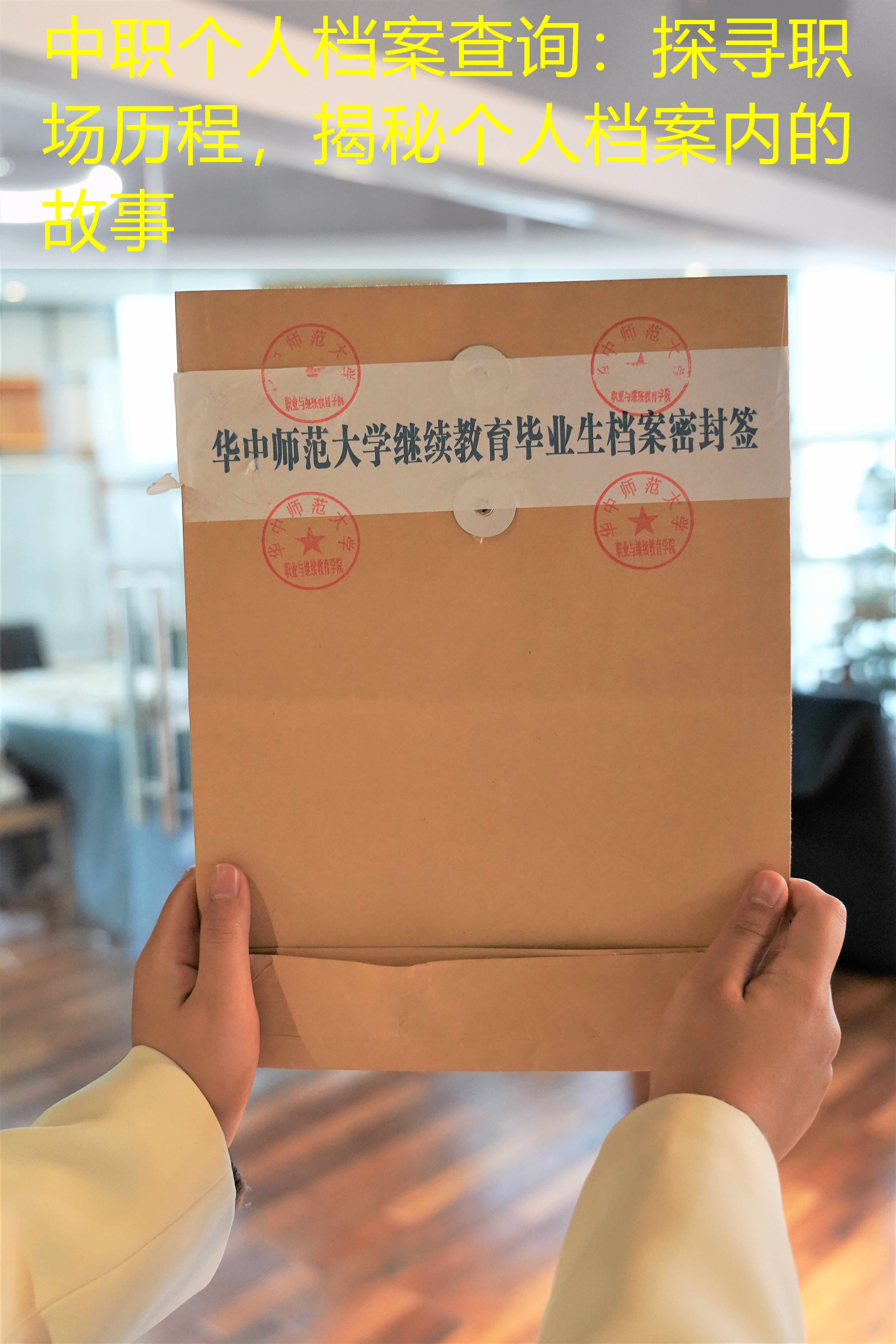 档案查询