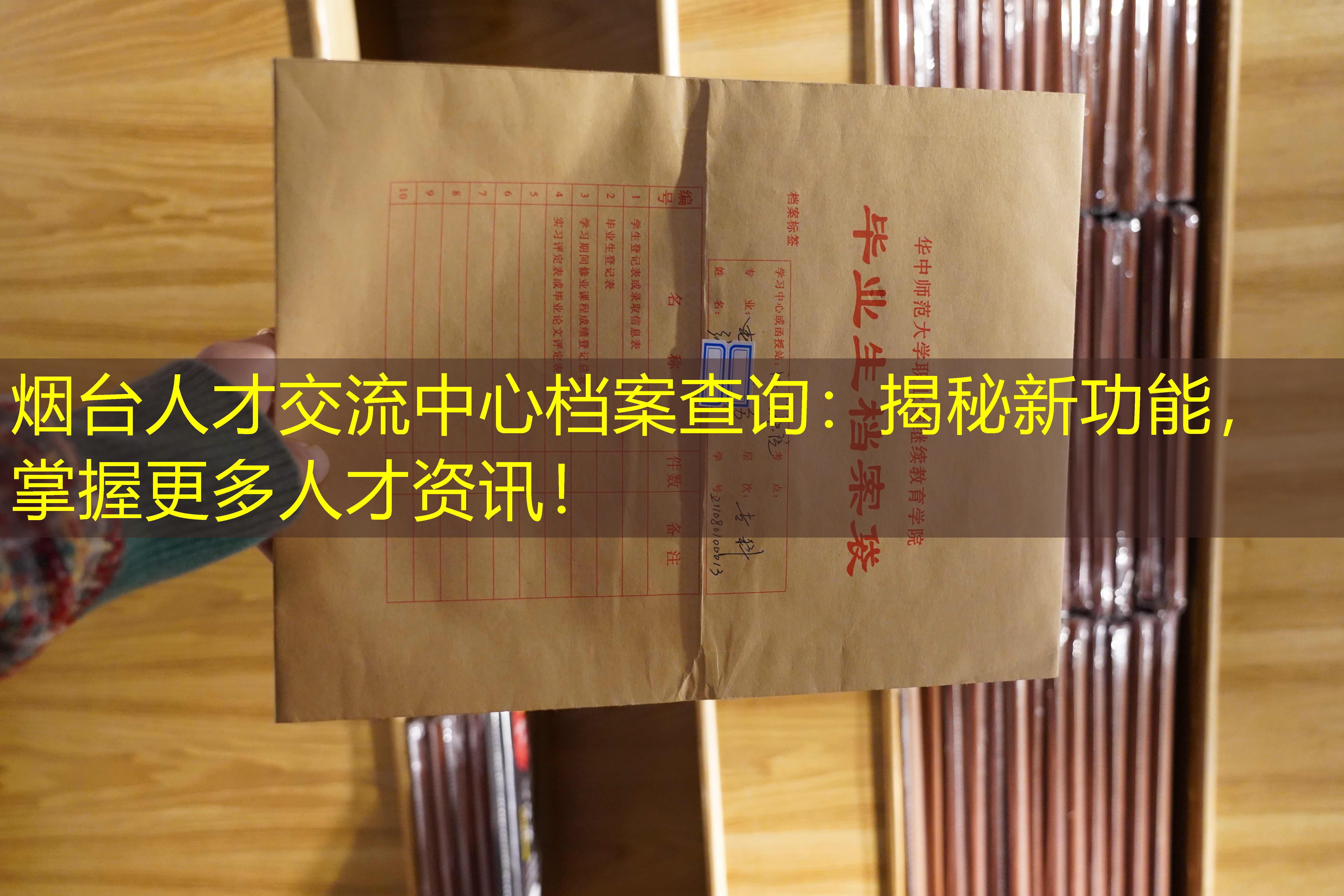 档案查询
