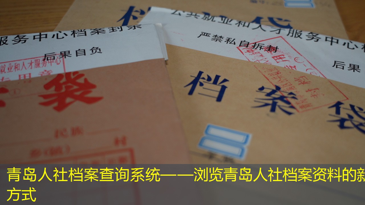 档案查询