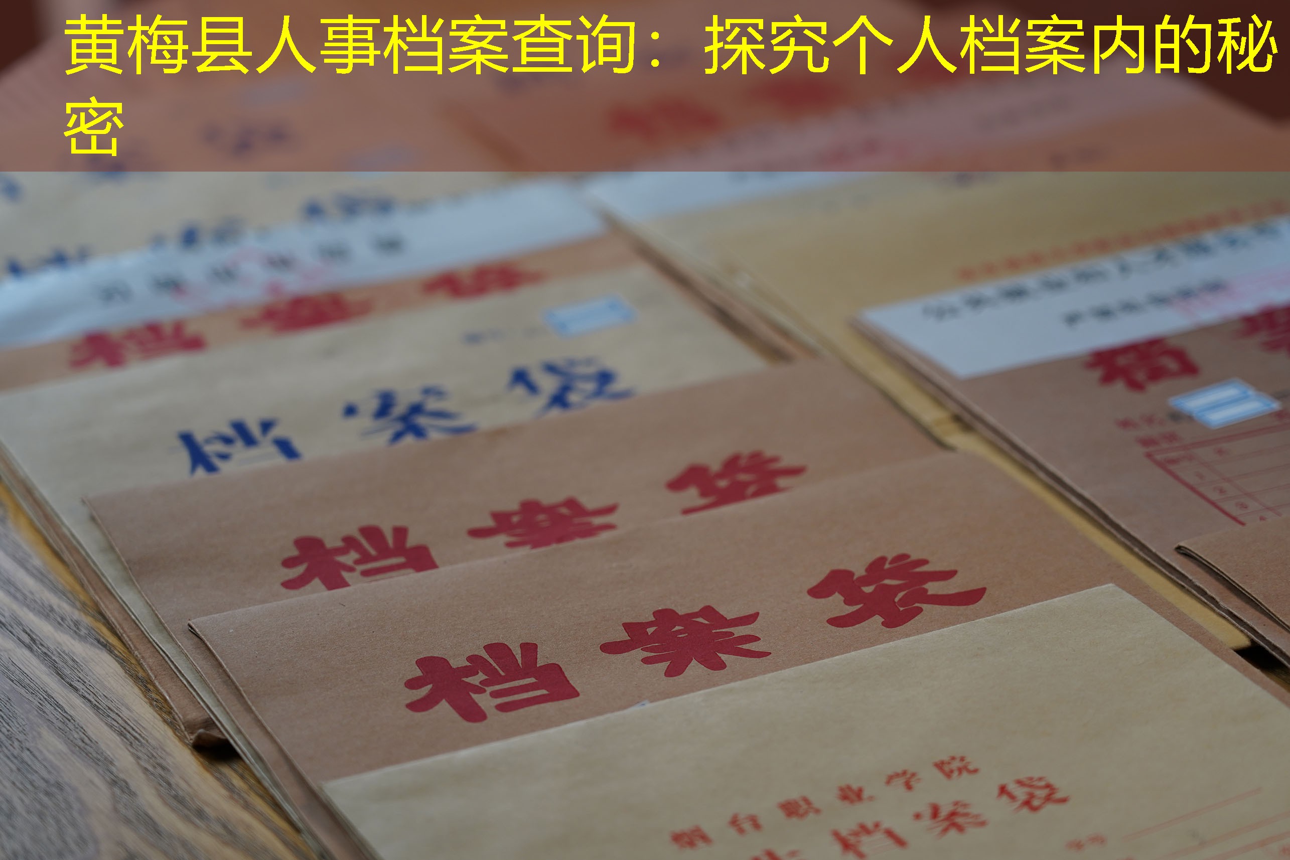 档案查询