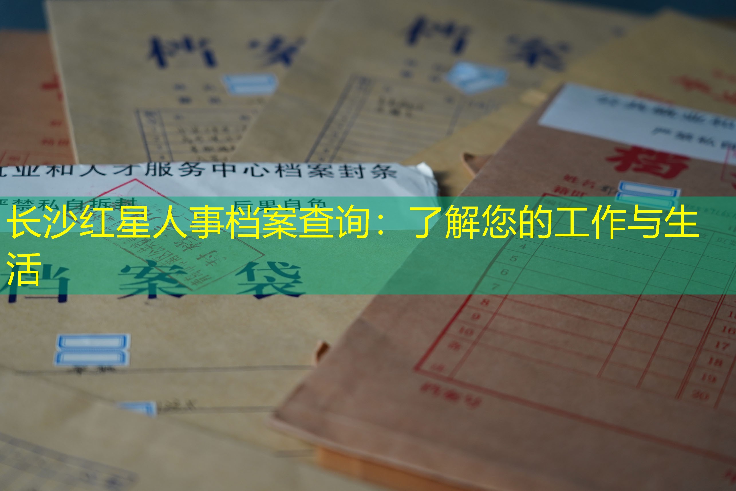 档案查询