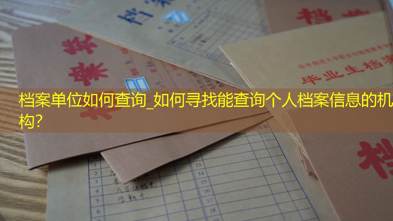 档案查询
