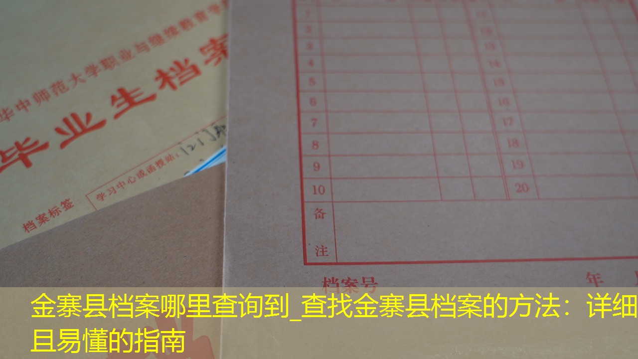档案查询