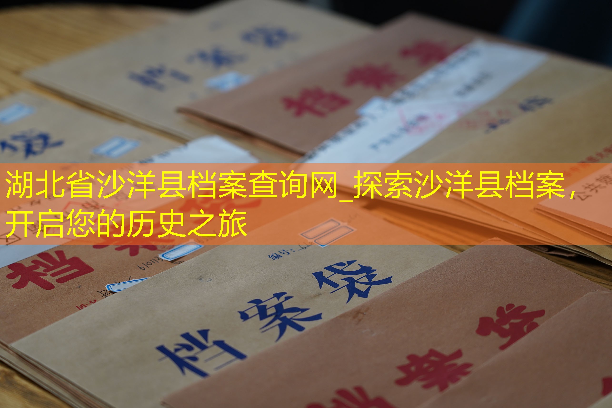 档案查询