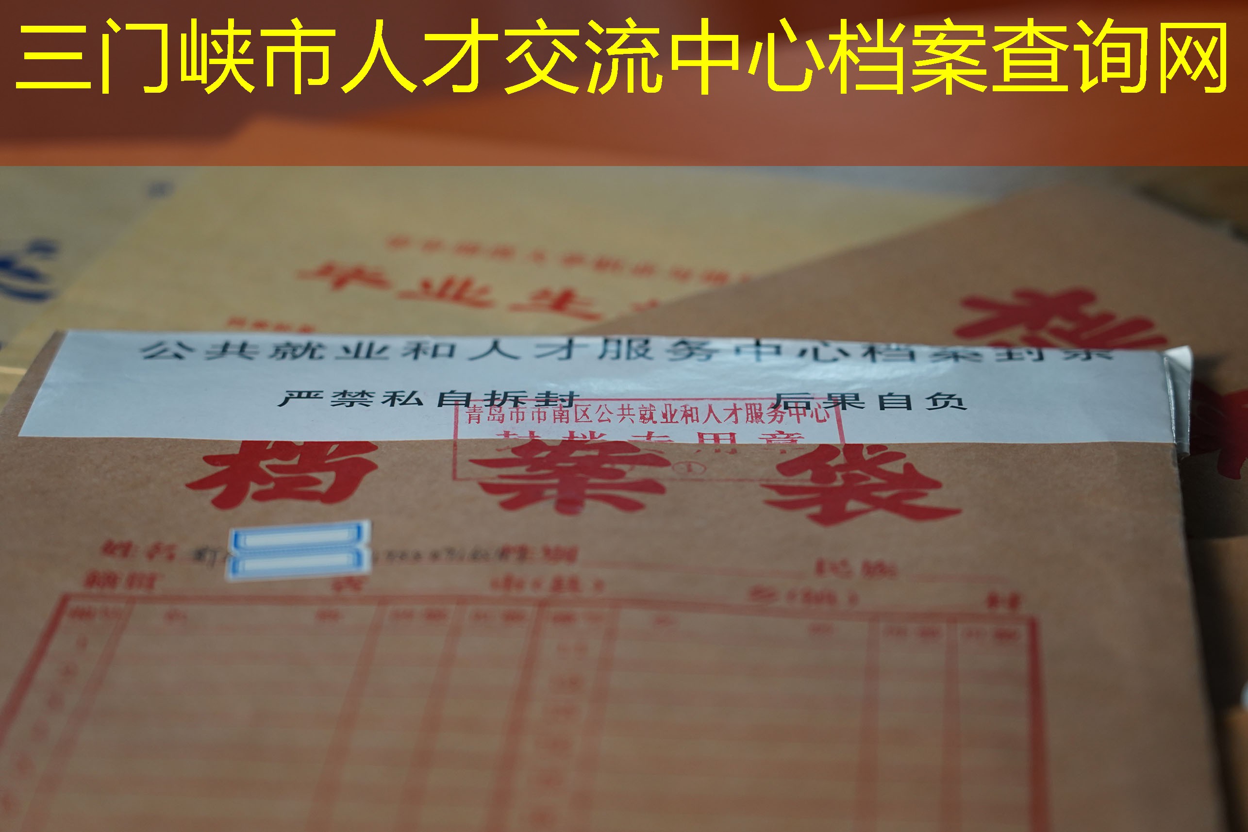 档案查询