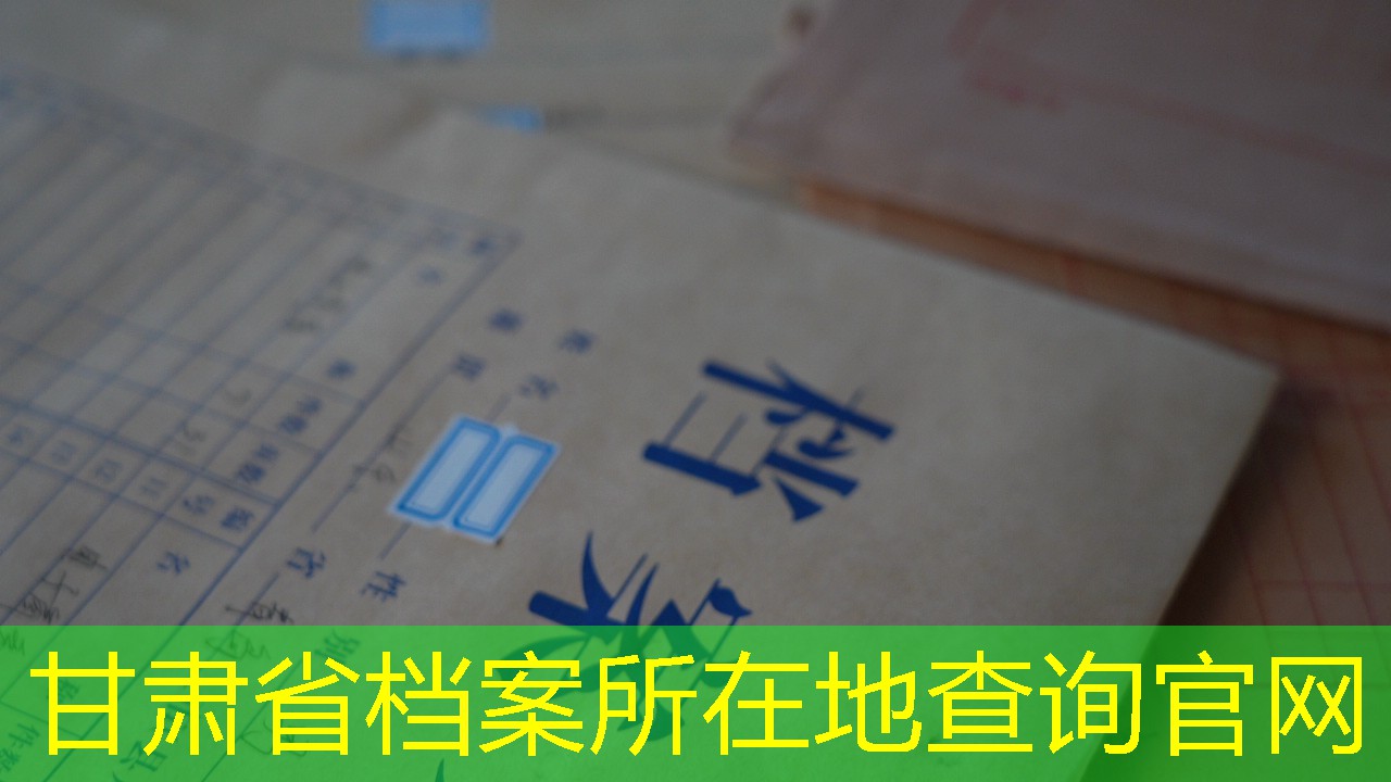 档案查询