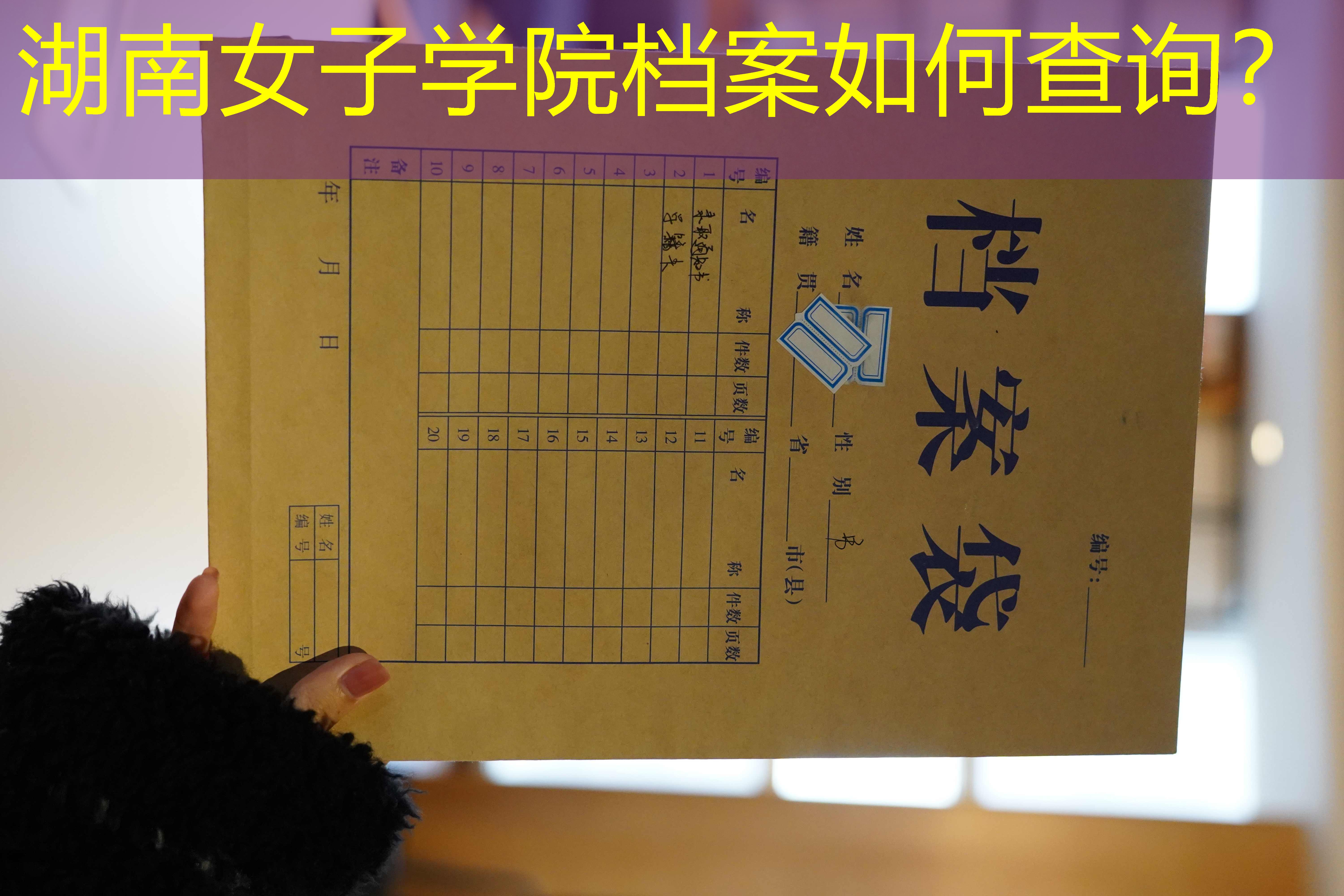 档案查询