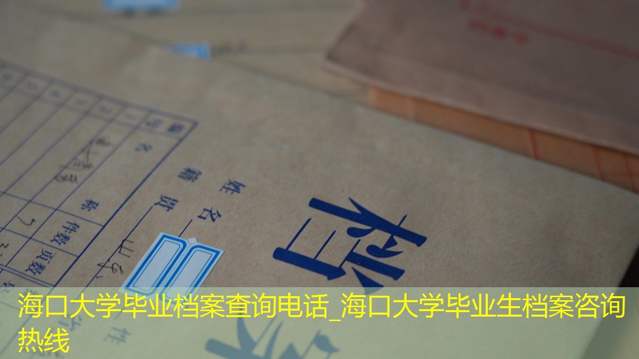 档案查询