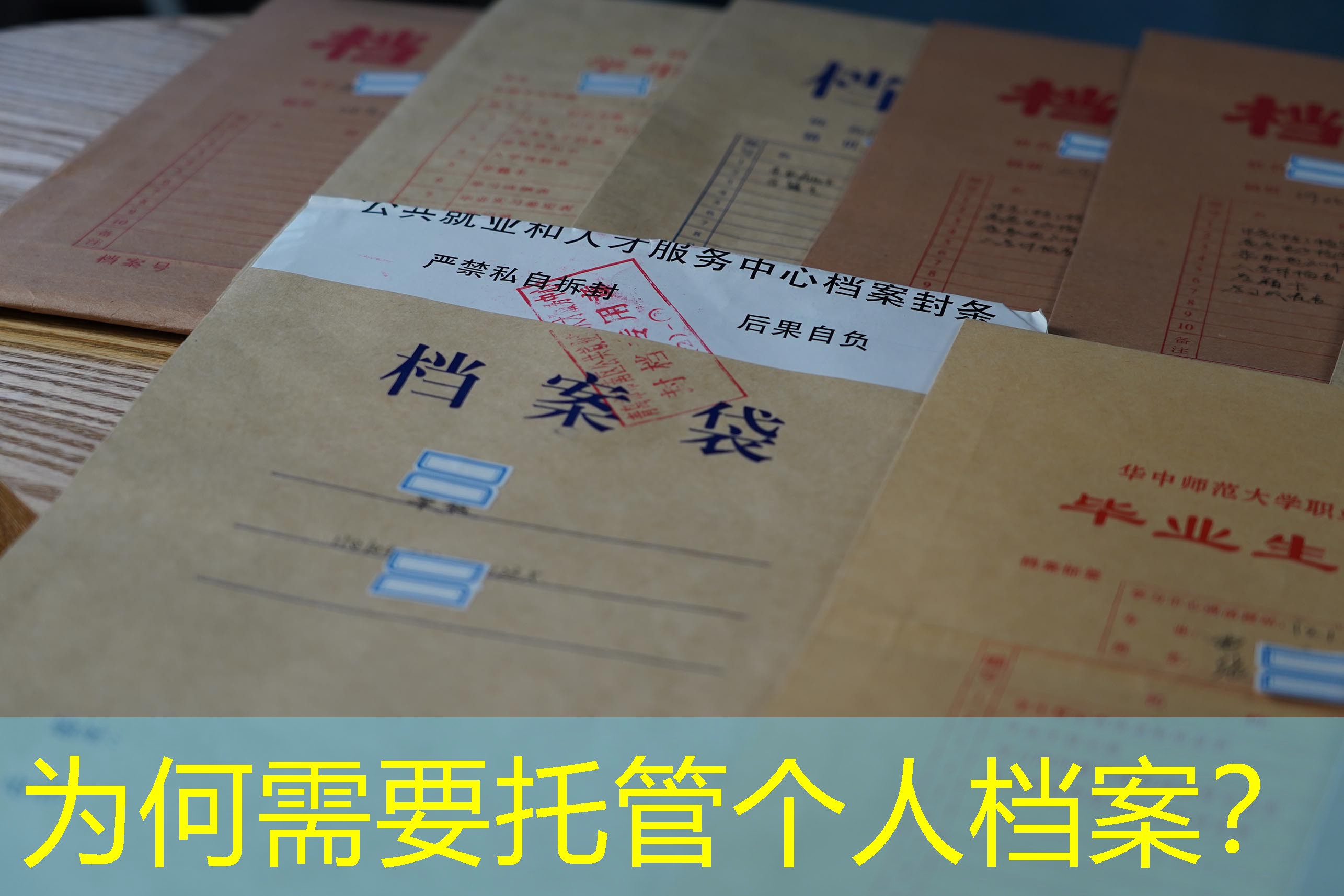 档案查询