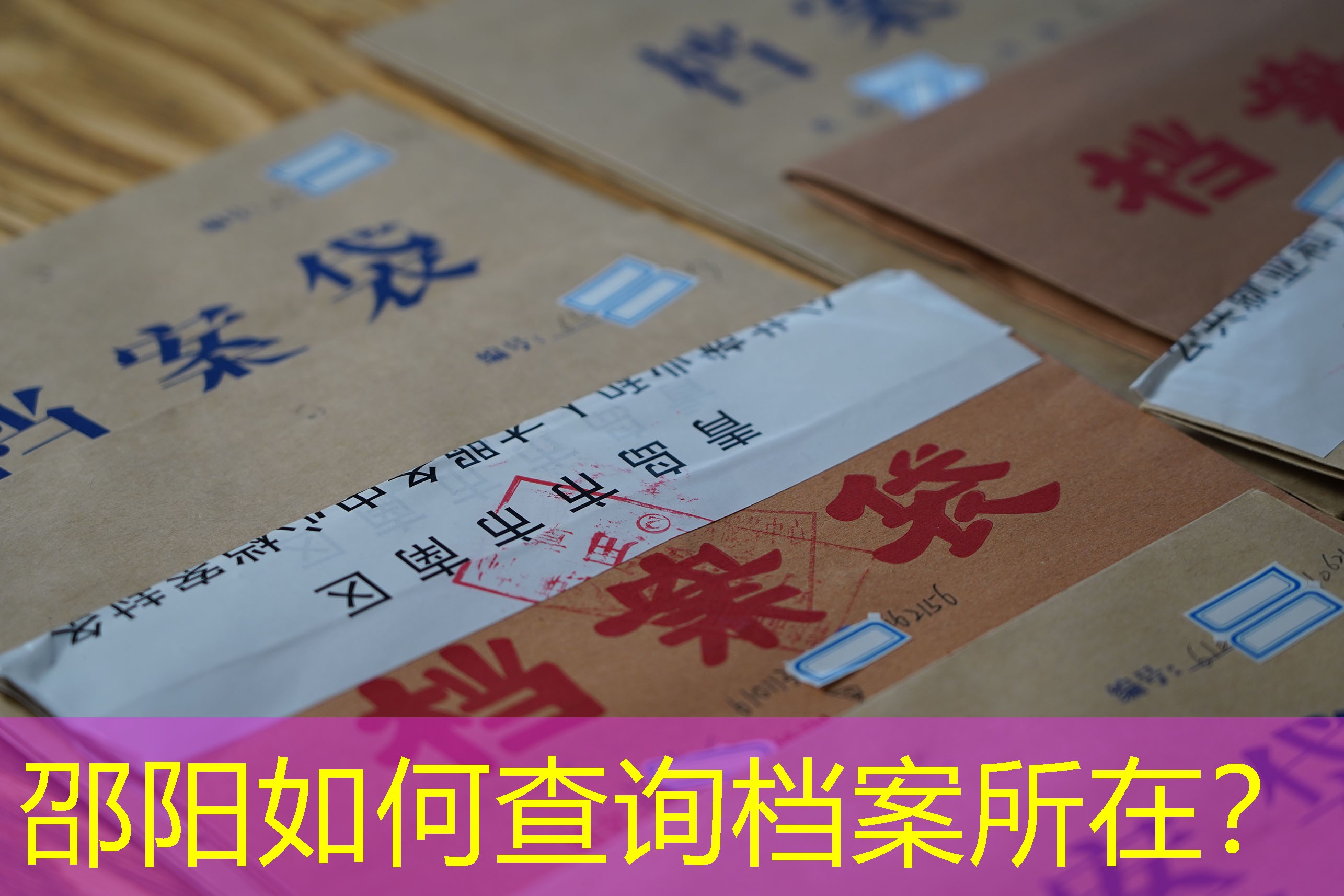 档案查询