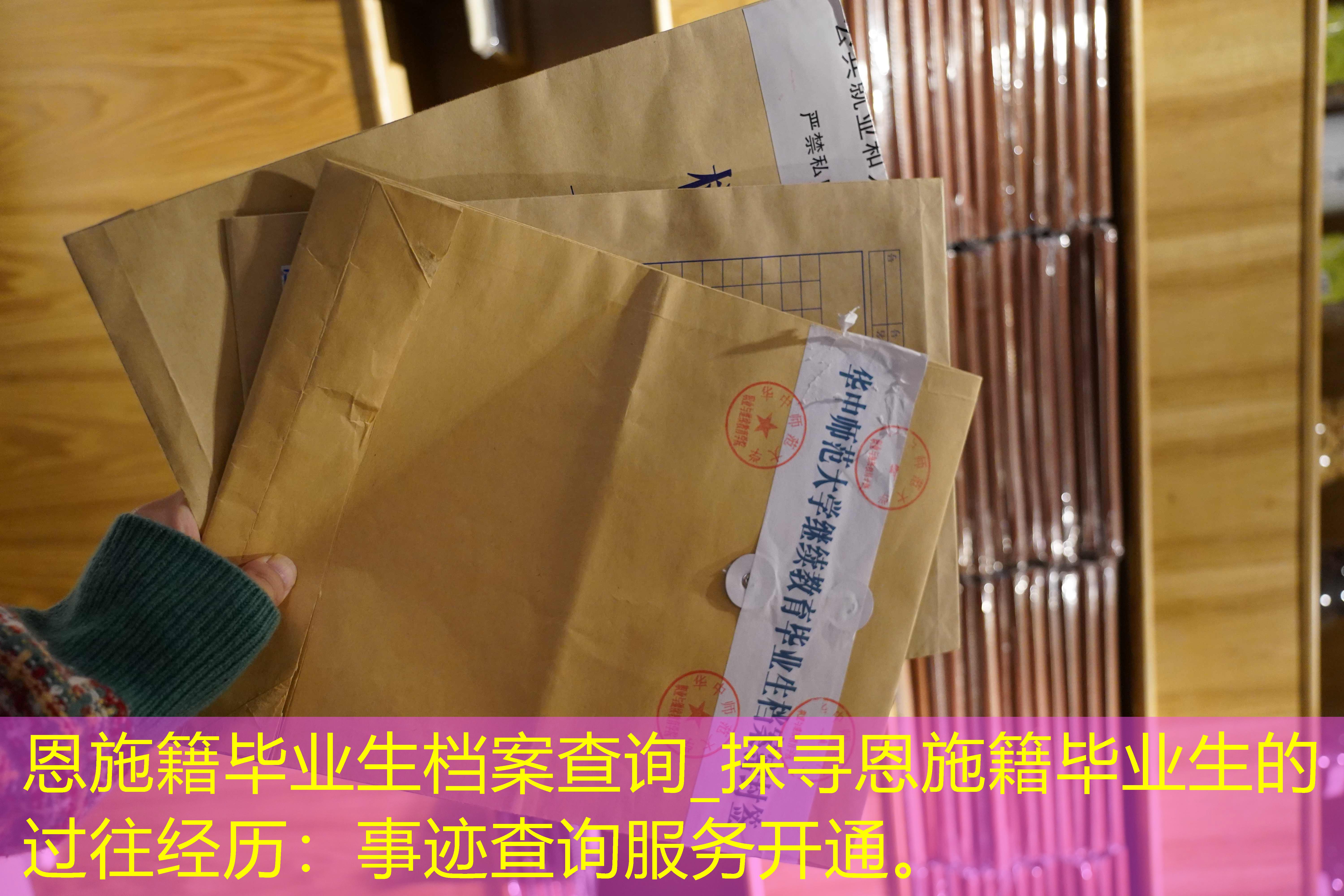 档案查询