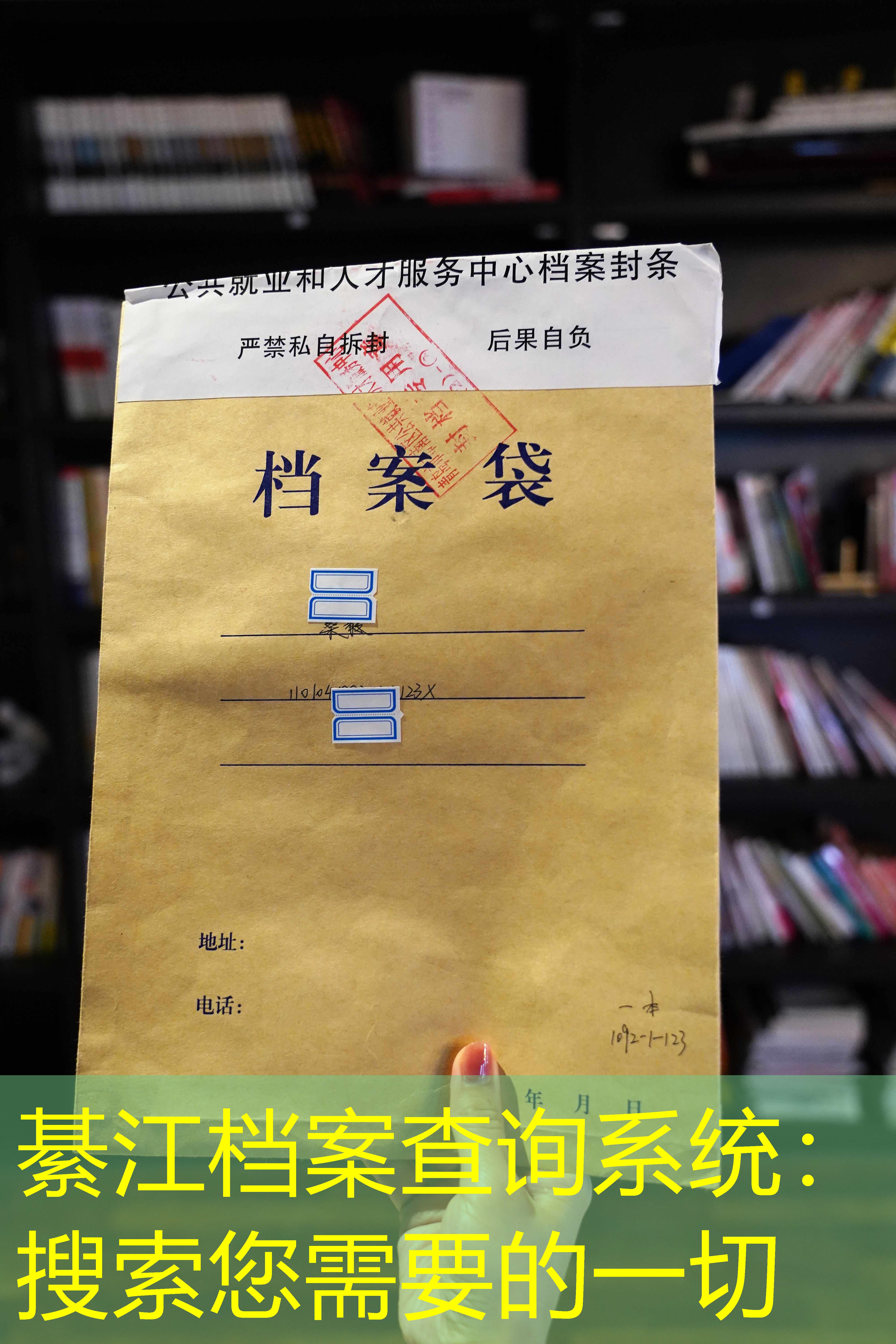档案查询
