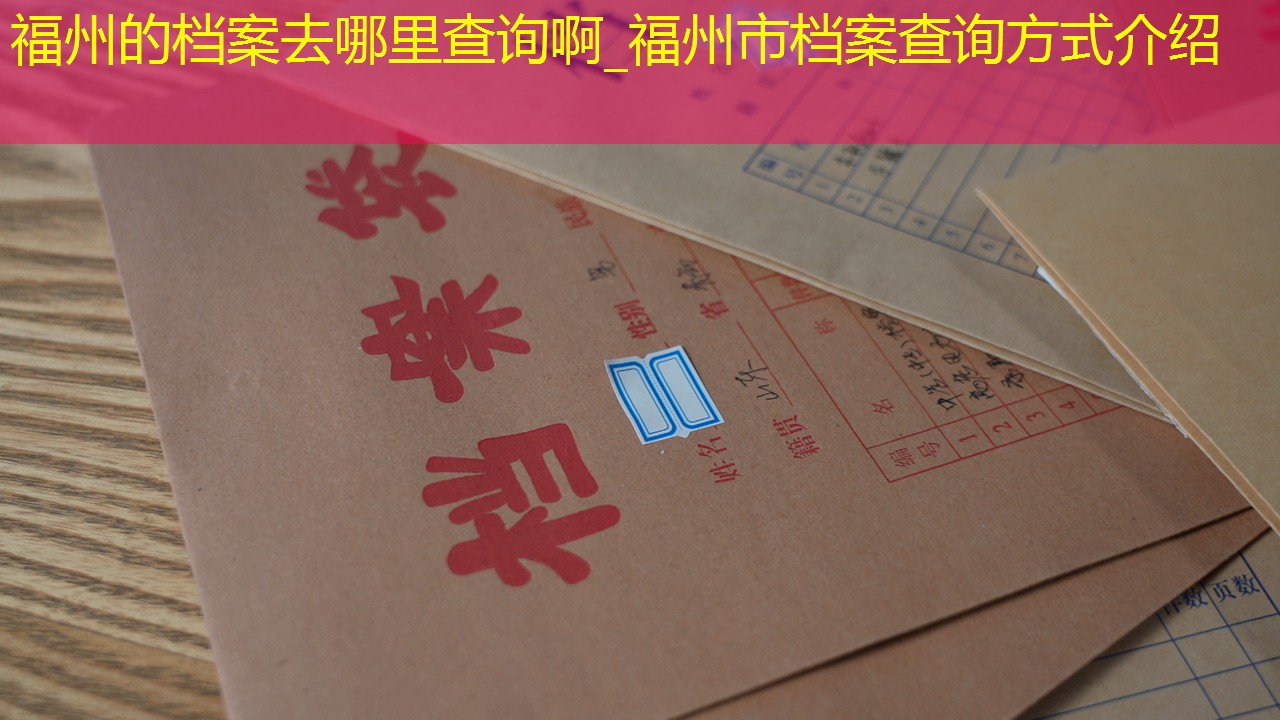 档案查询