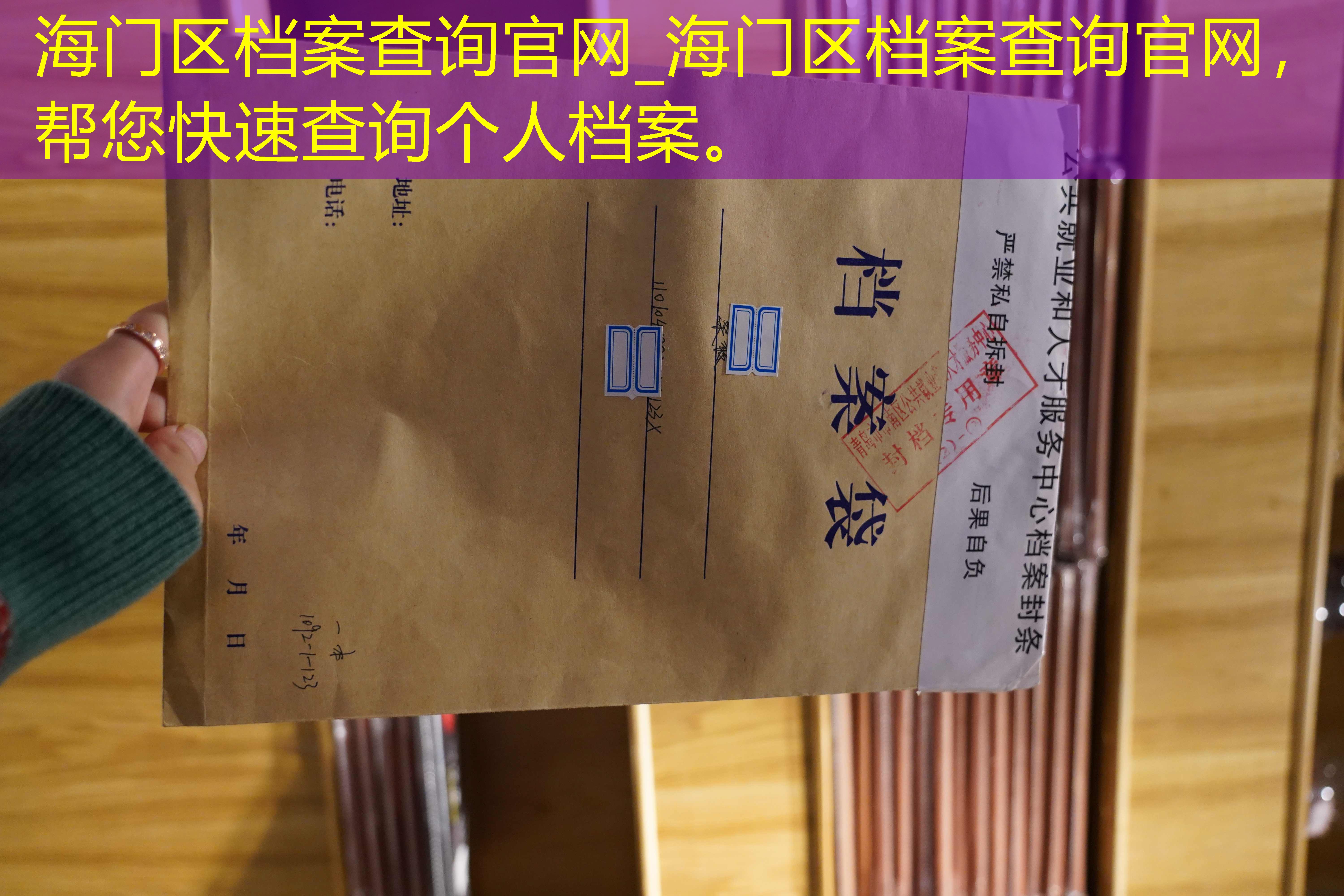 档案查询