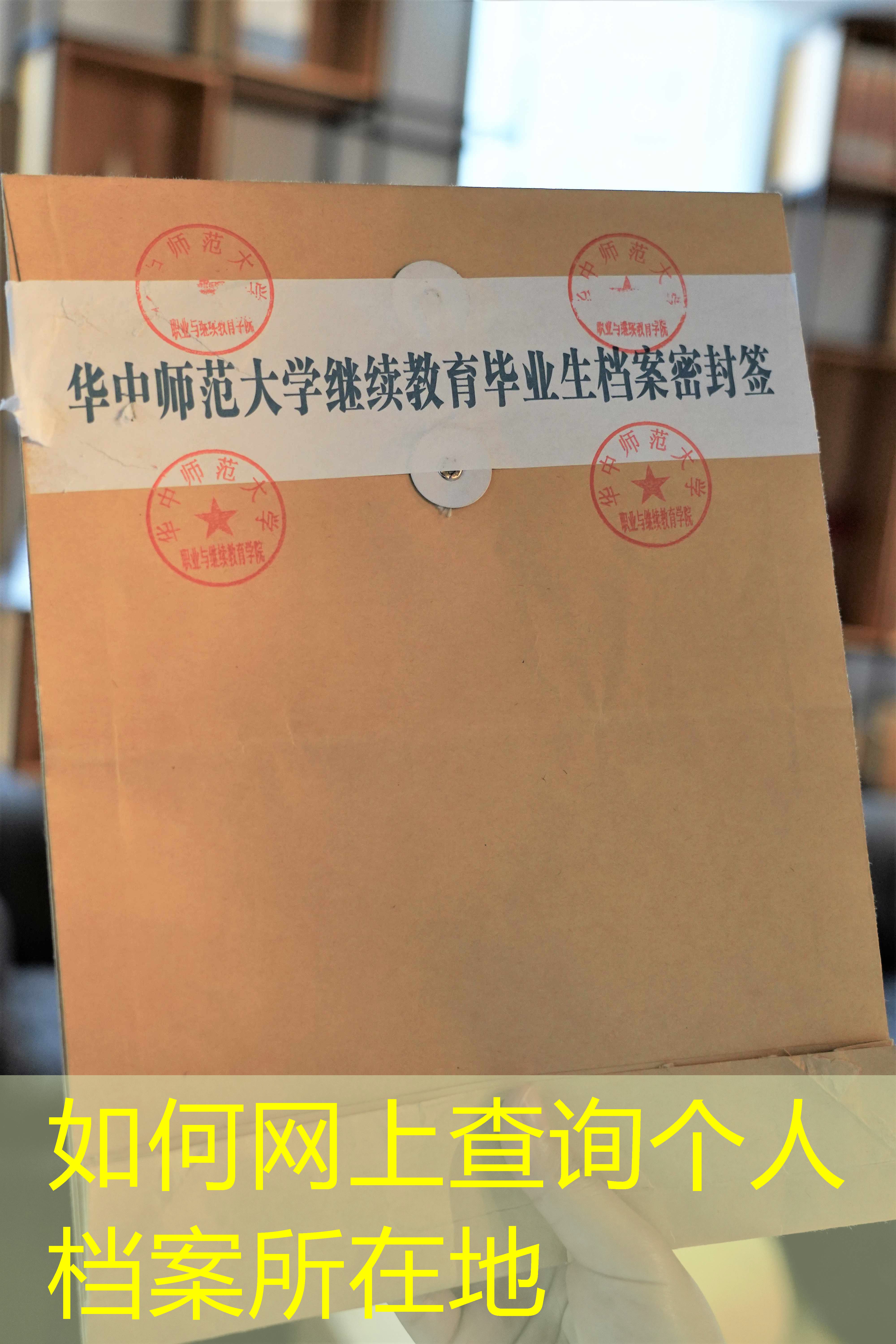 档案查询
