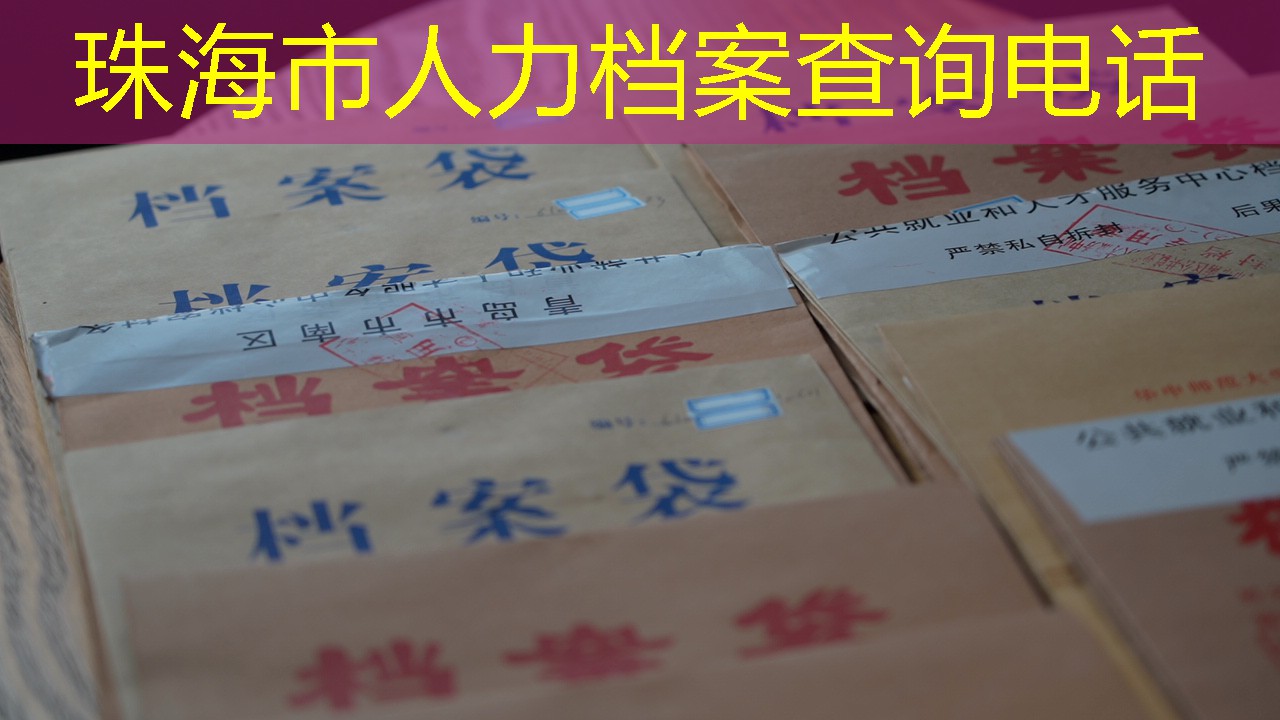 档案查询