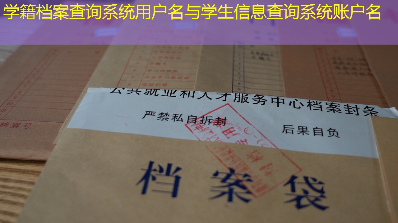 档案查询