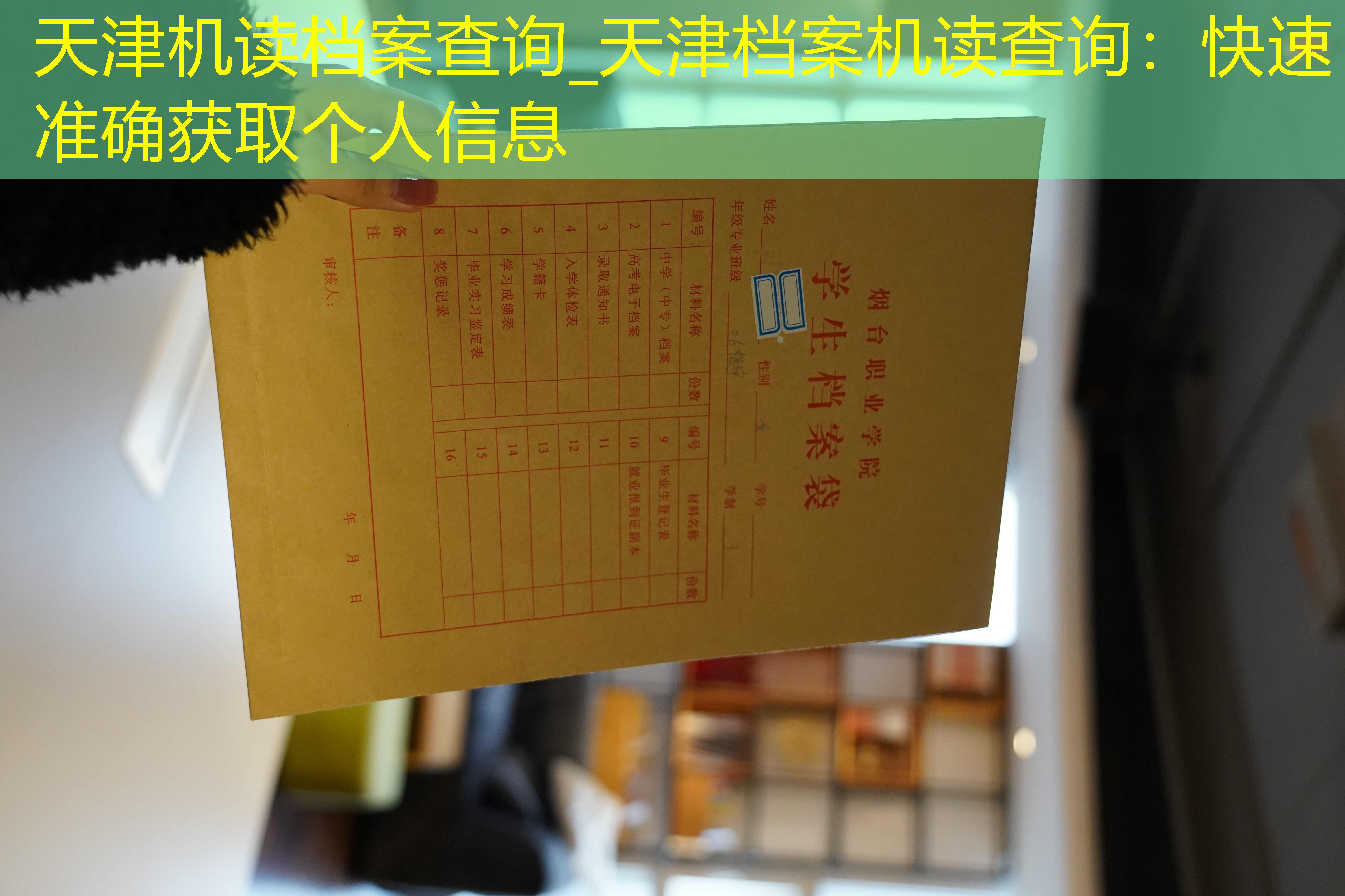 档案查询