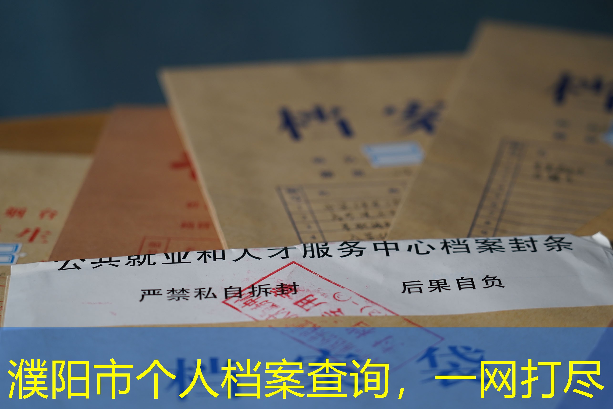 档案查询