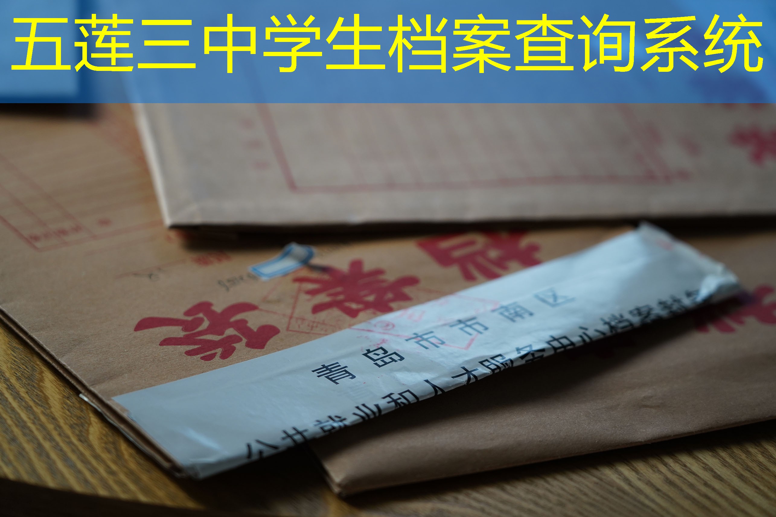 档案查询