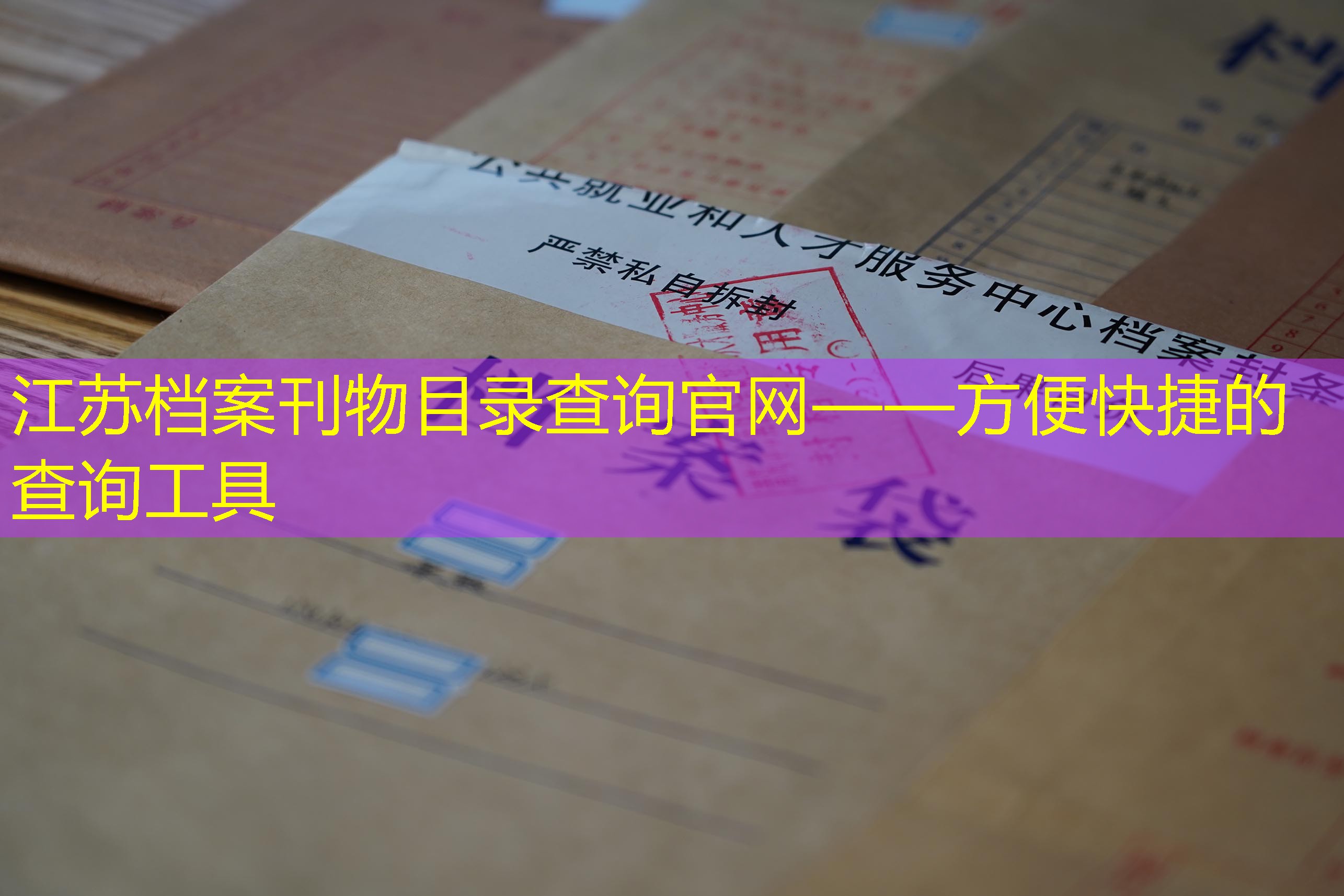 档案查询