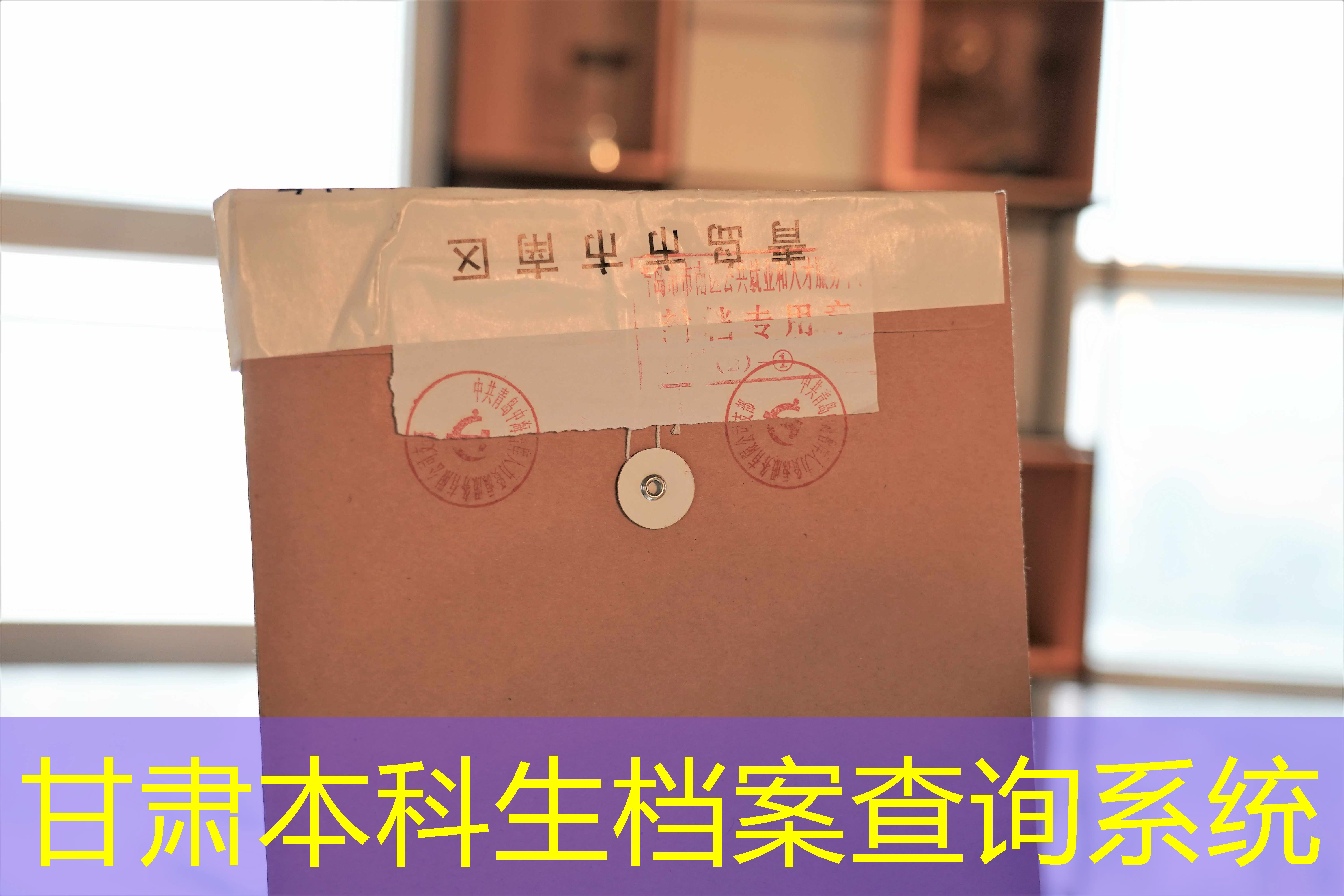 档案查询