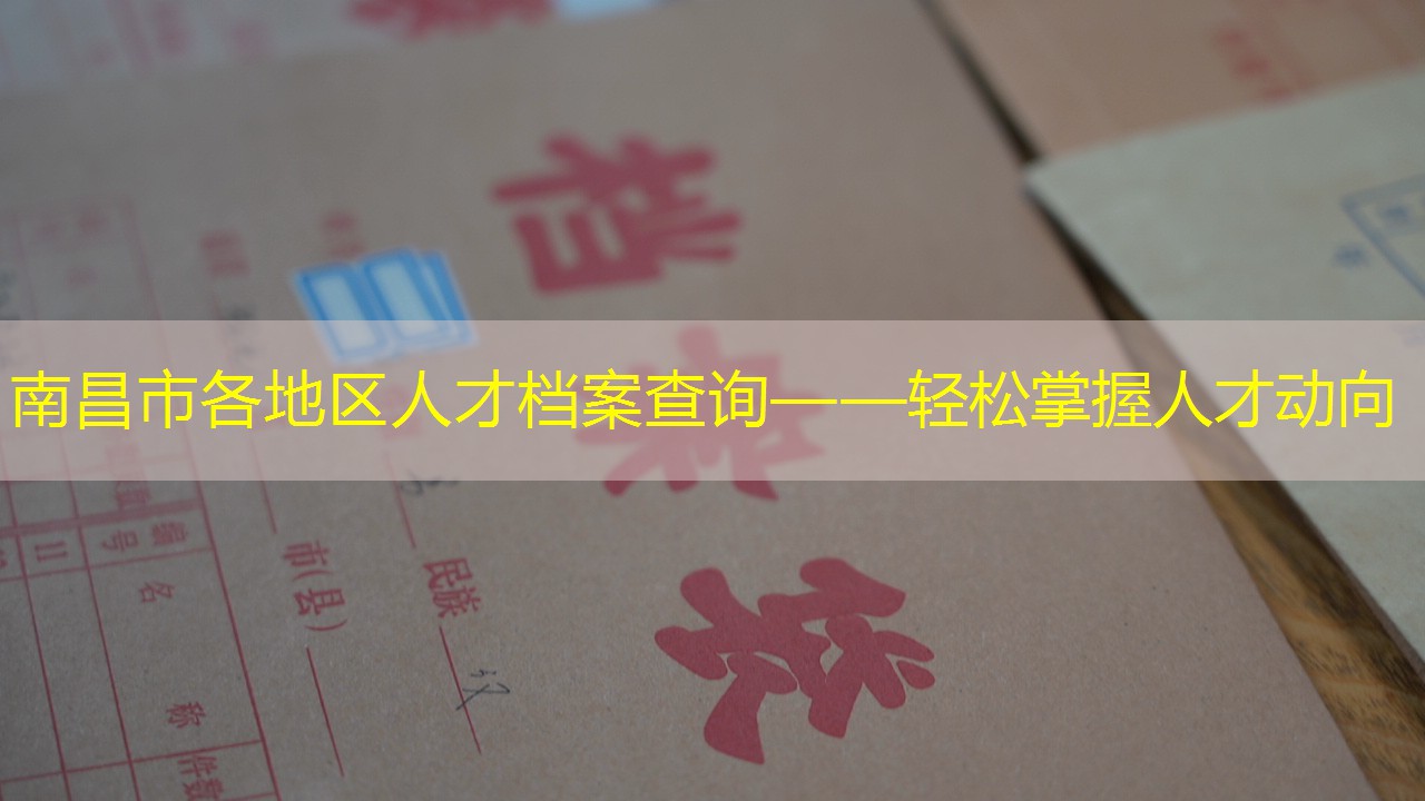 档案查询