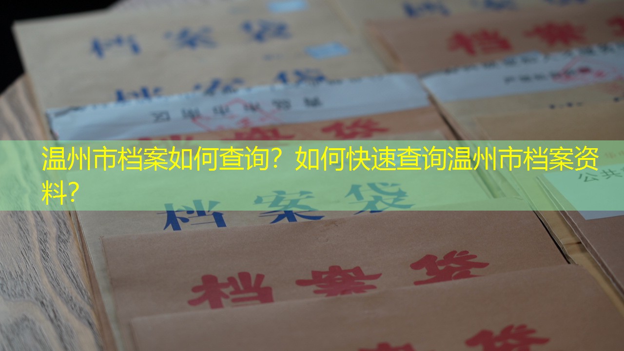 档案查询