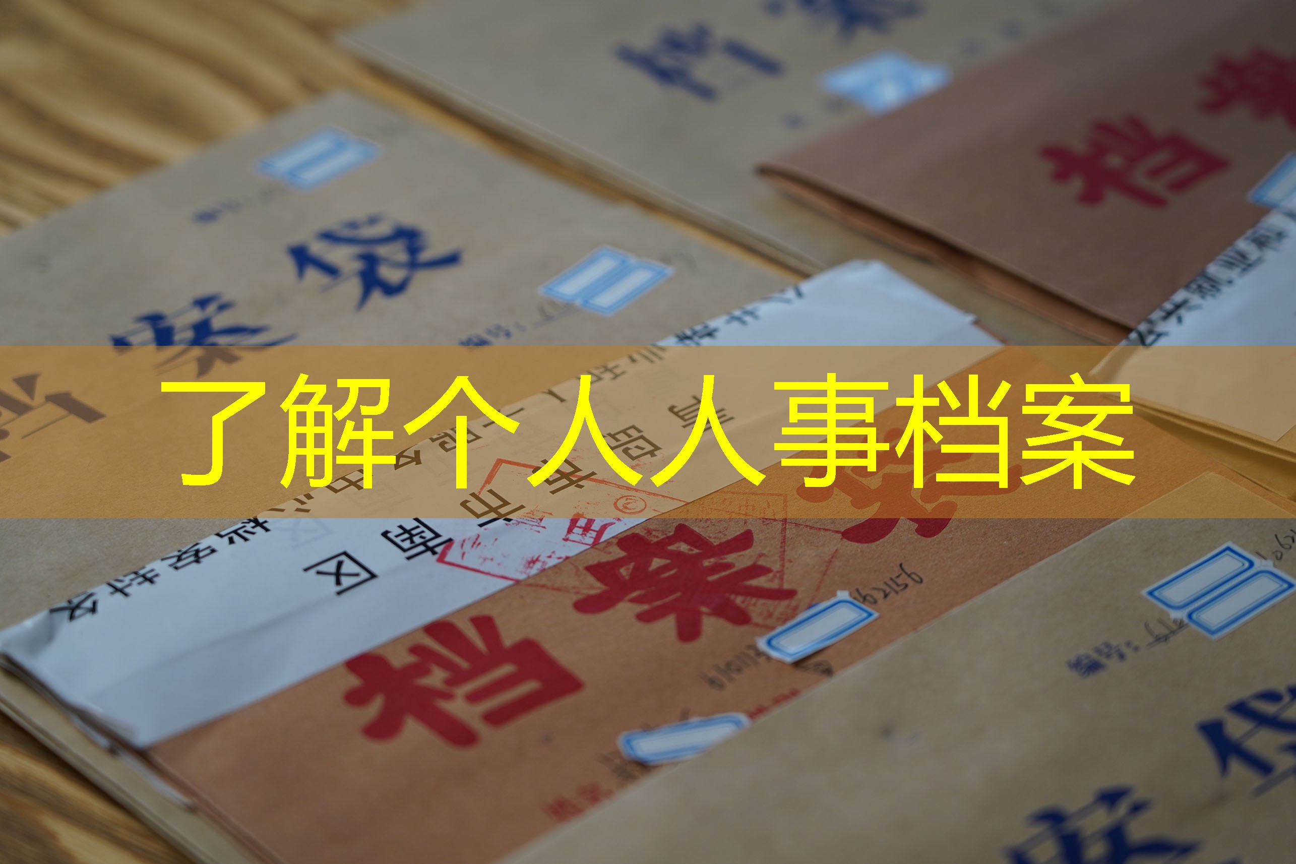 档案查询